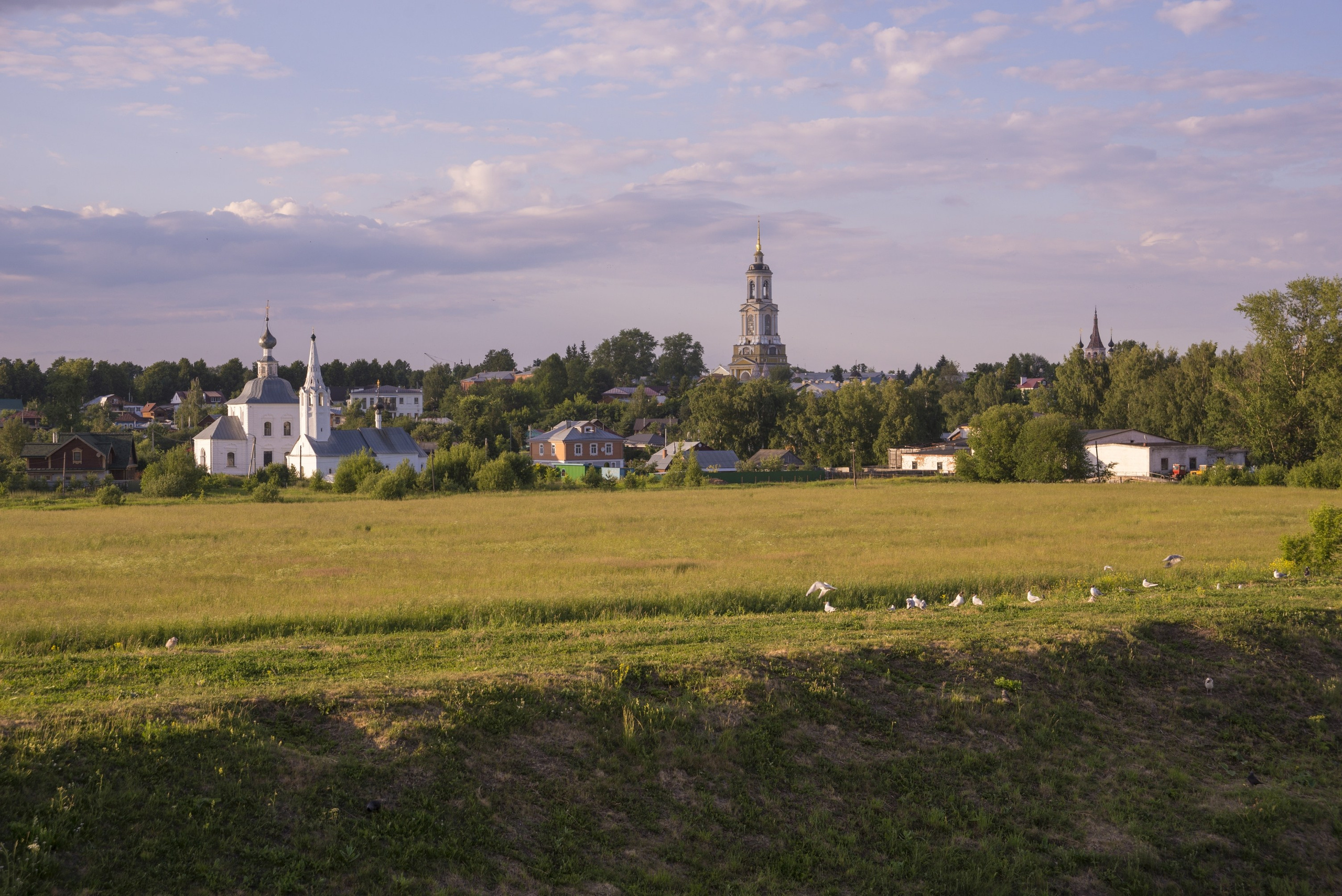 Суздаль. Июнь 2019. Игорь Жучков. Россия увиденная глазами путешествующего фотографа