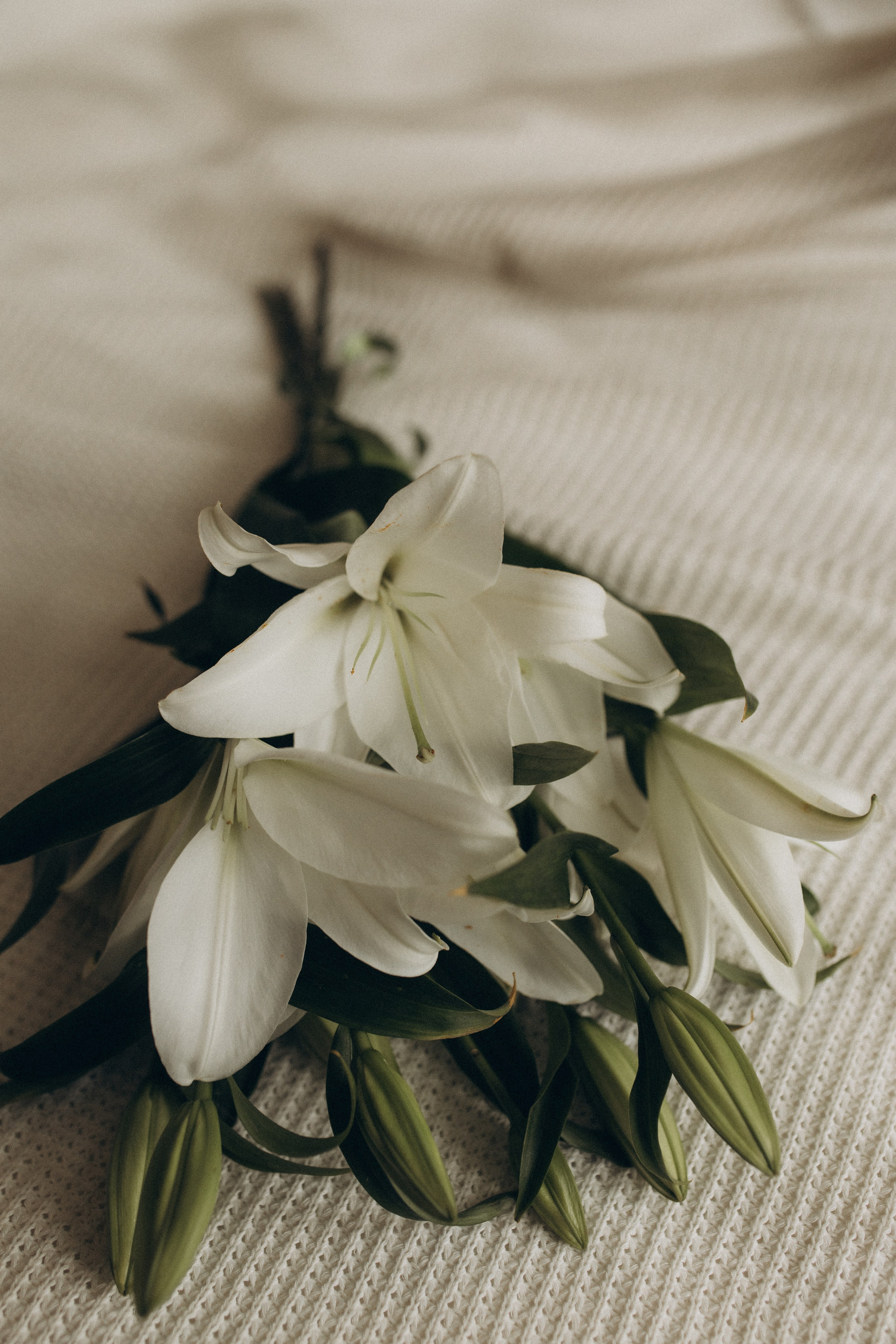 Айгуль, Злата, Ульяна. Семейный фотограф Оля Гладченко