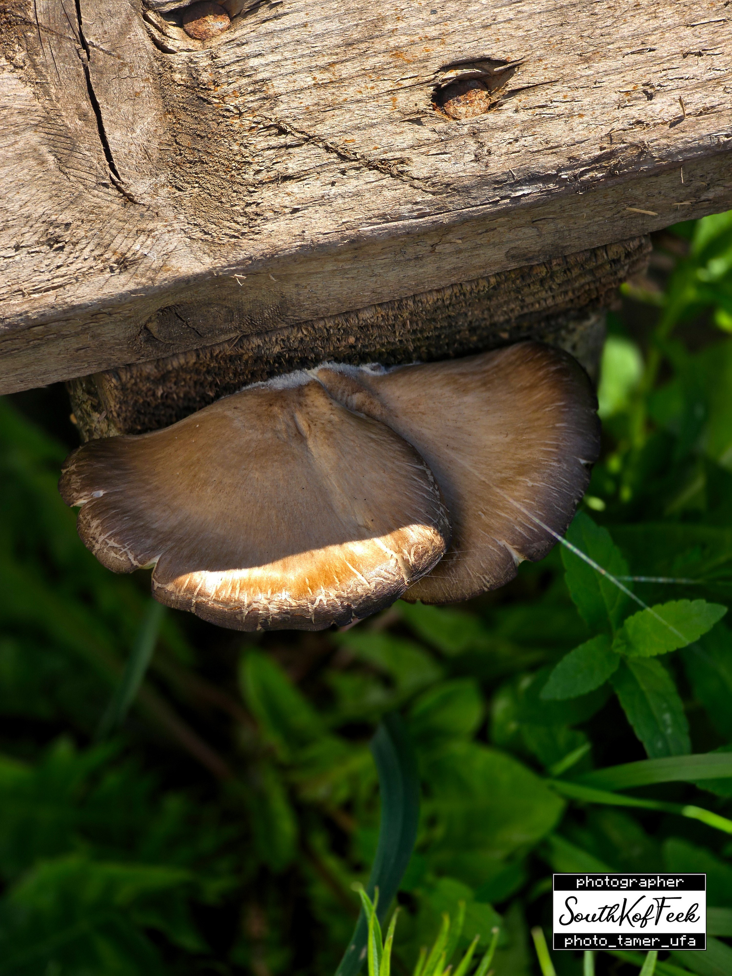 Прочие съемки. Photo Tamer Ufa
