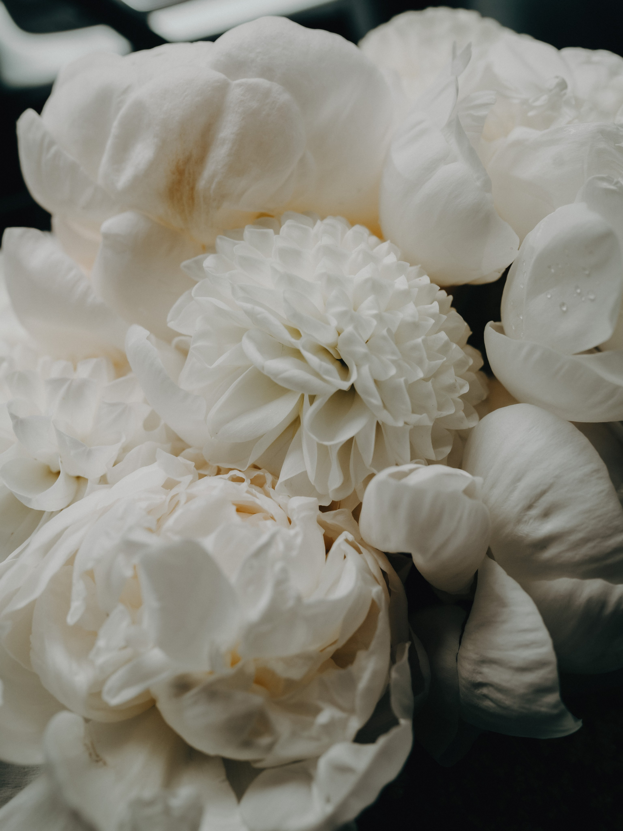 Андрей & Екатерина. Семейный и свадебный фотограф в Москве и Калуге Рослова Анастасия