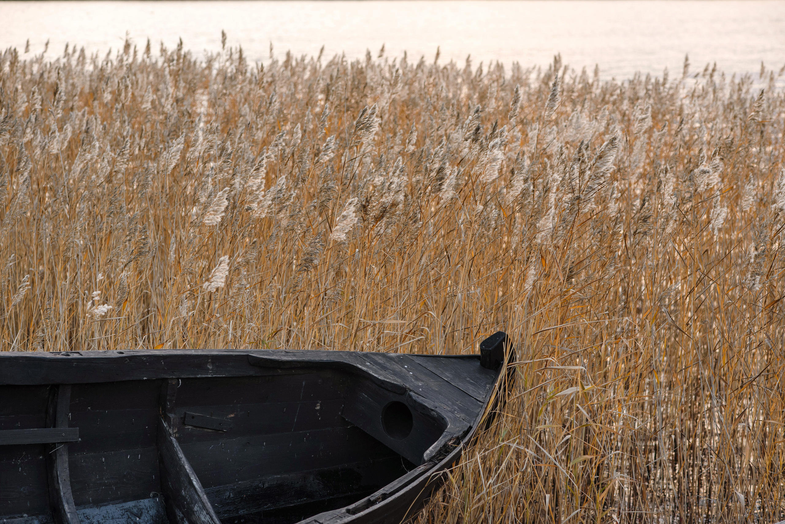 Имидж-тур ВодоходЪ. Репортажный фотограф Минина Ирина