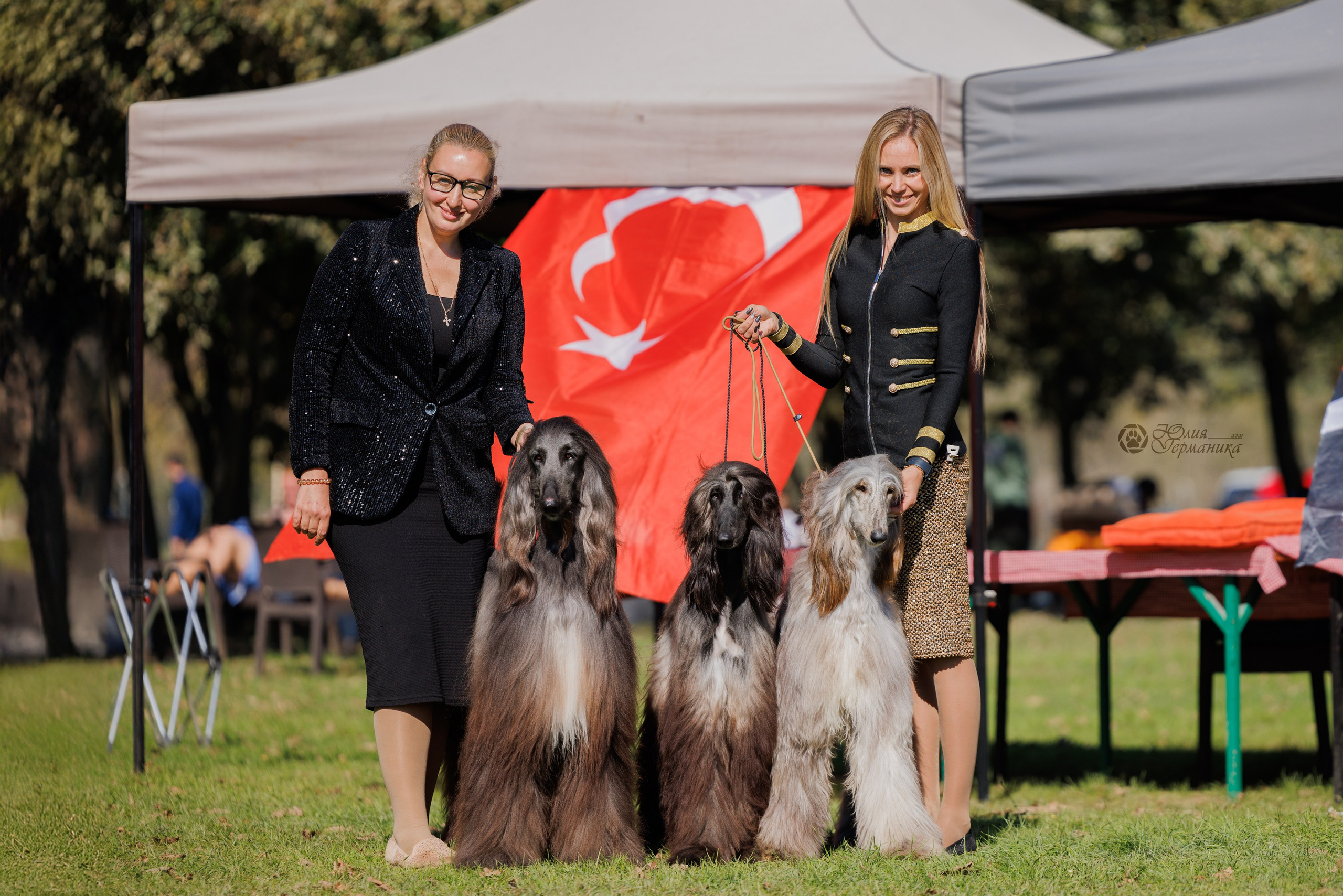 Туция,Стамбул 2хCACIB 26-27.10.24. Фотограф-анималист Юлия Германика