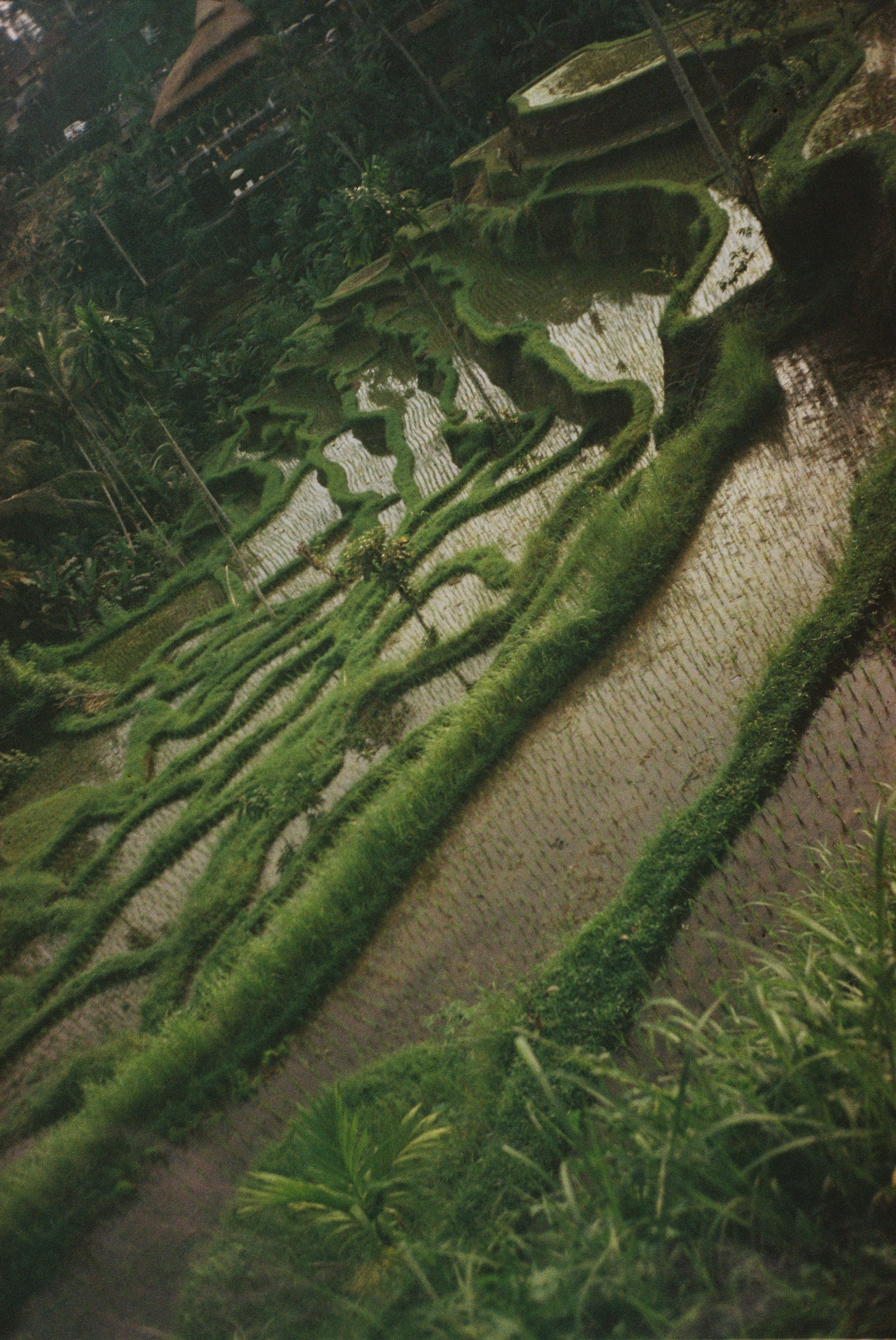 SWASTIASTU. Сocoobird || Атмосфера твоего бренда в снимках и видео