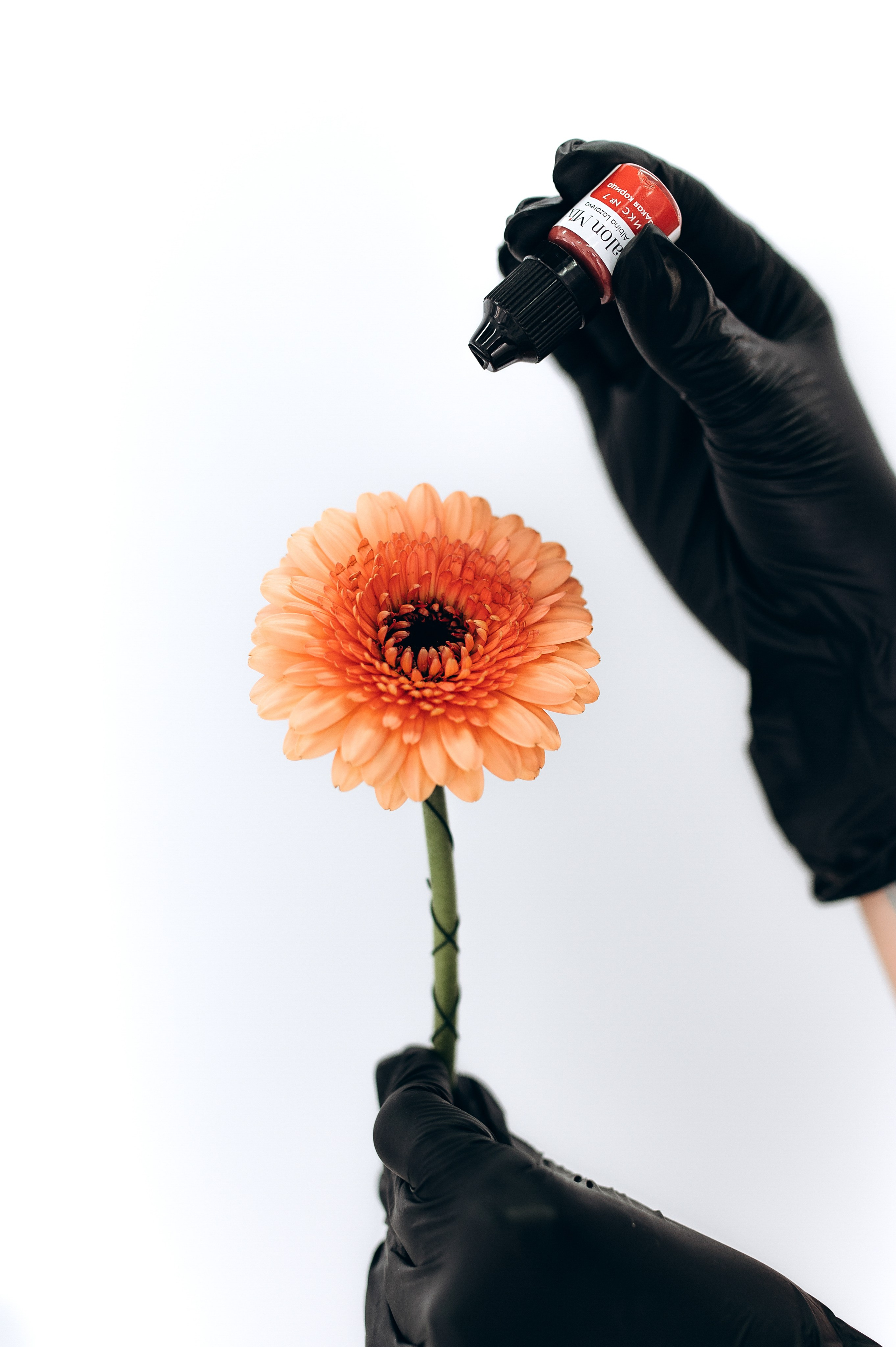 Для мастера перманентного макияжа. Фотограф Алексин, Тула