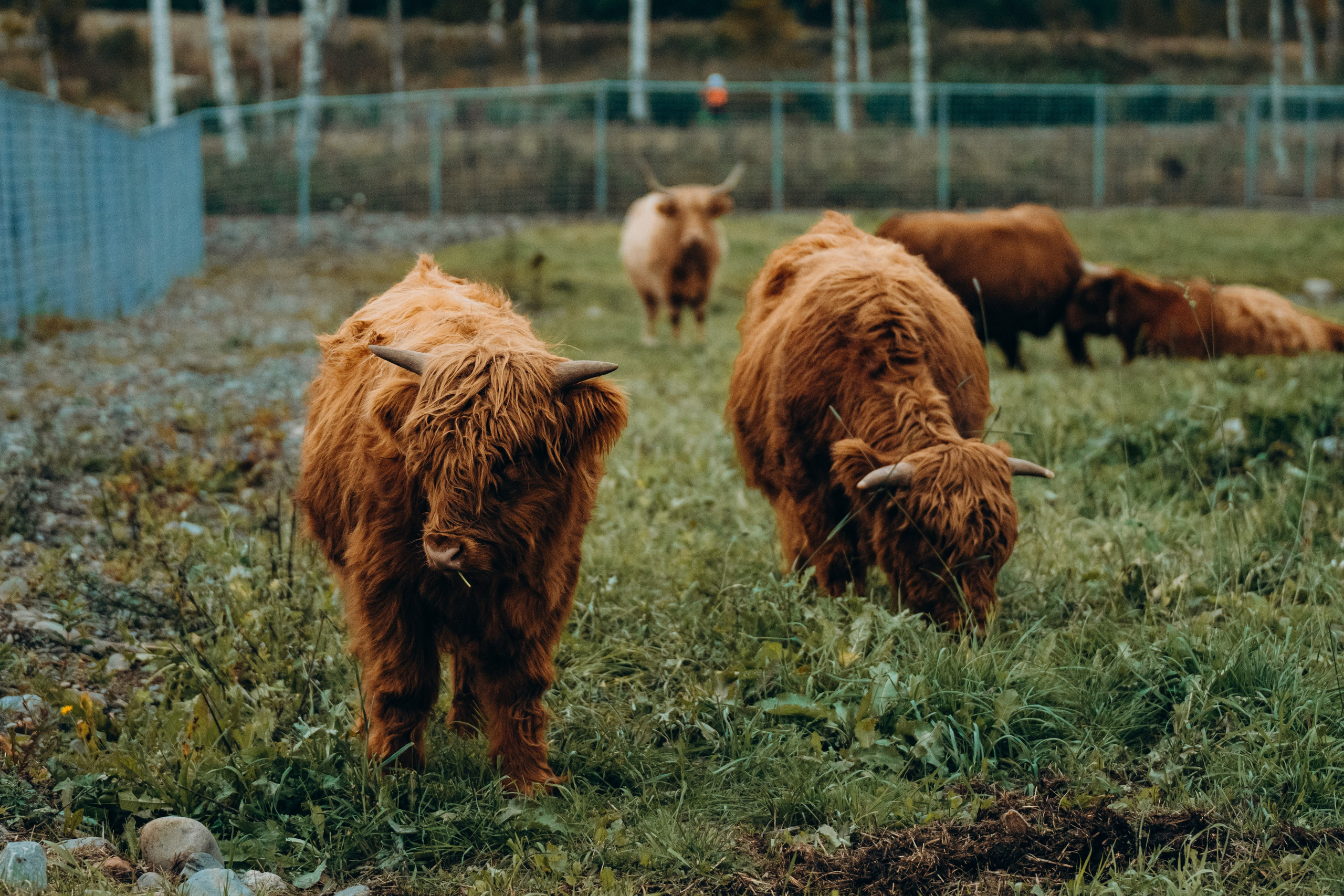 СЕВЕР. Event фотограф Степанова Александра