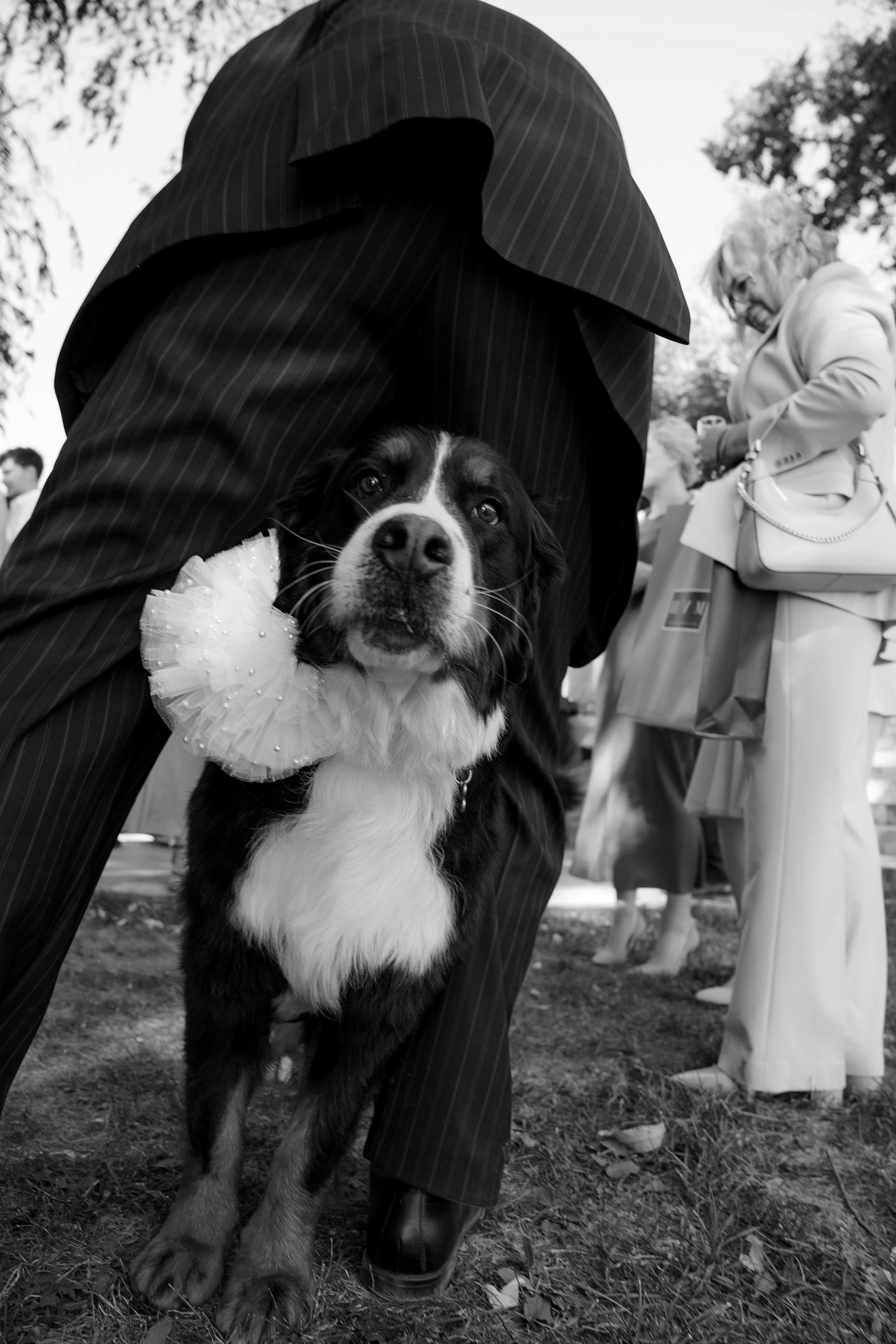 LOVE. Свадебный фотограф Марина Бобкова в Липецке, Воронеже, Москва