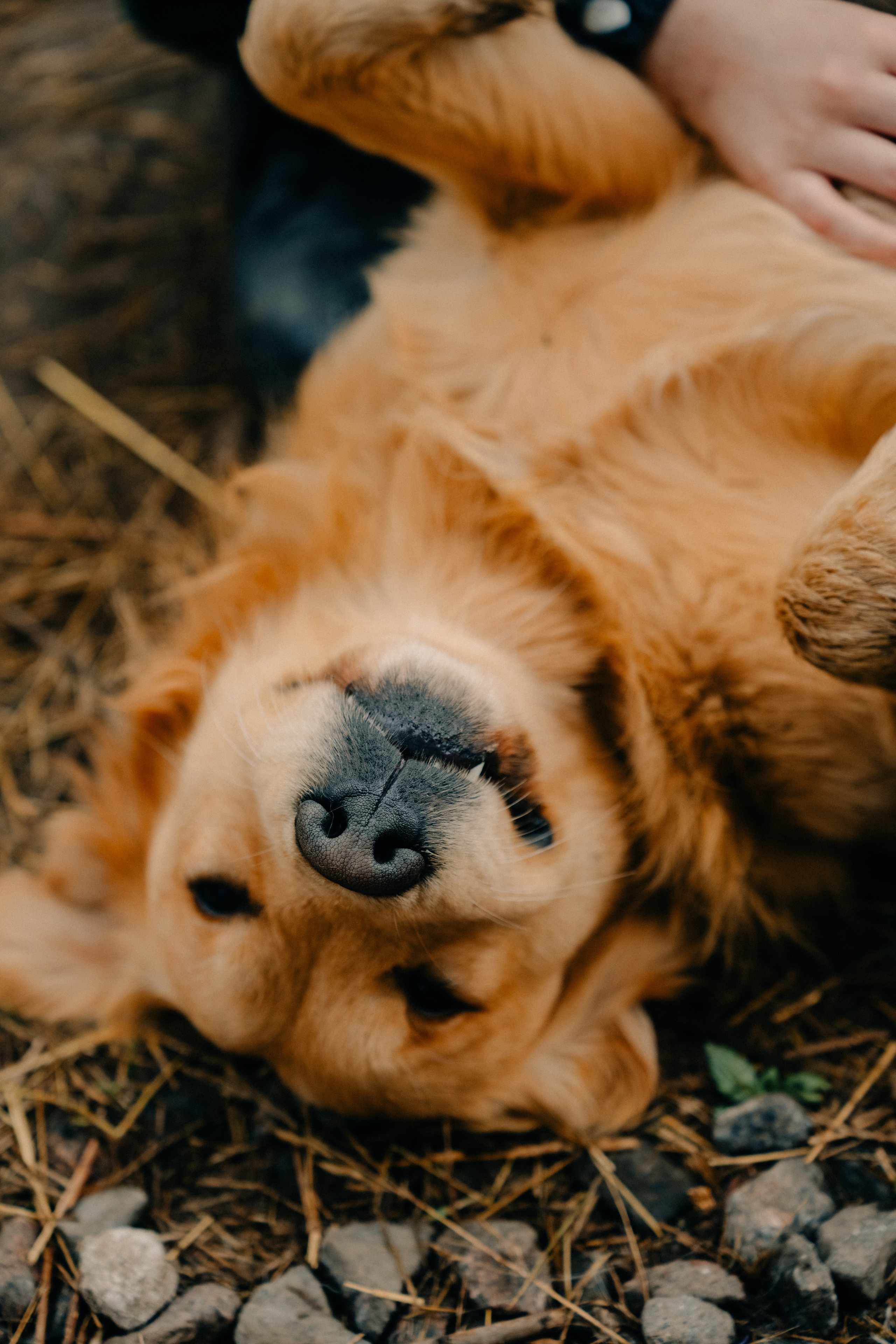 Зоопарк в моём багаже. Кошенкова Мария: портретный и репортажный фотограф. Санкт-Петербург