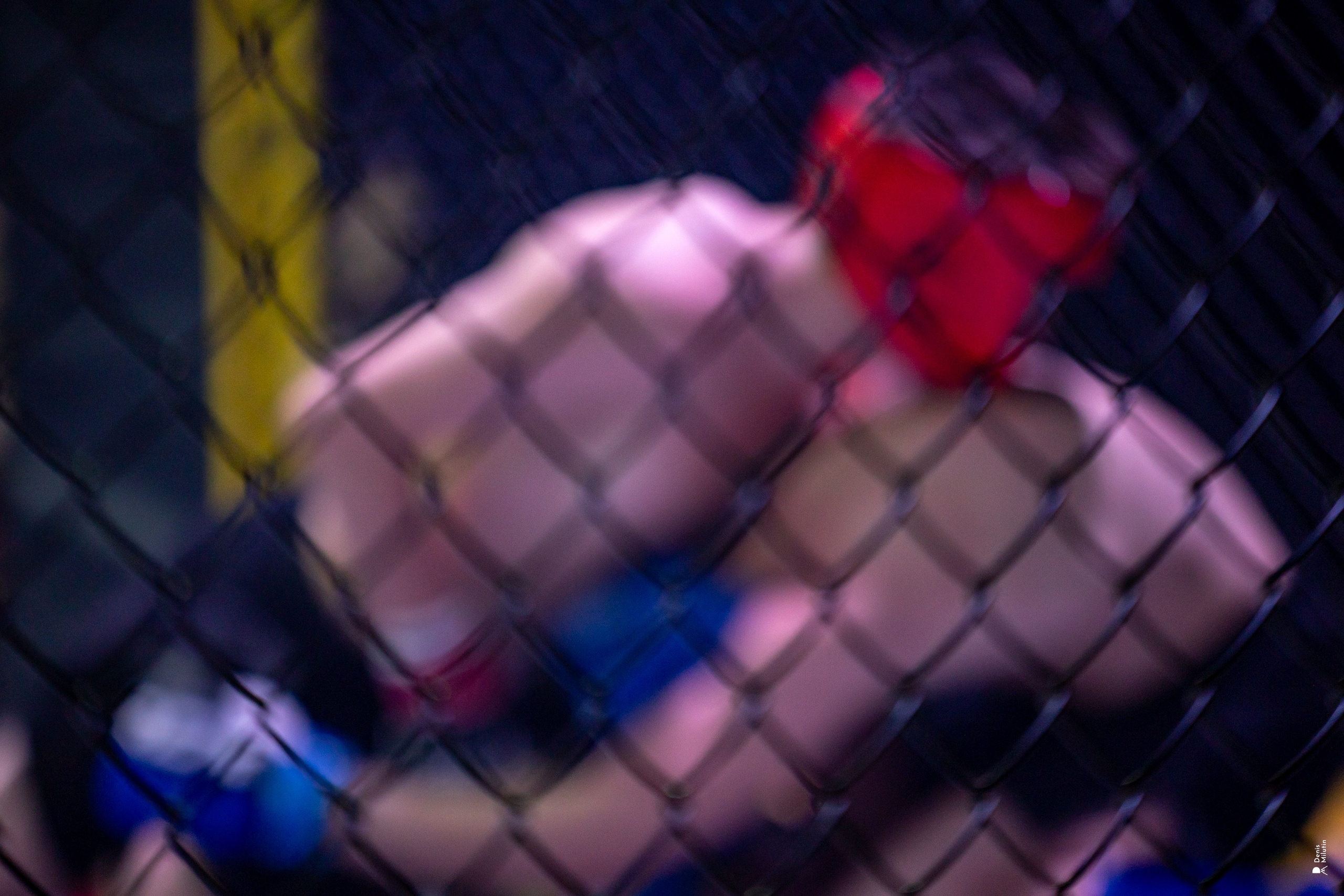 Бои в клетке «Северный Воин». Портретный фотограф Денис Милютин