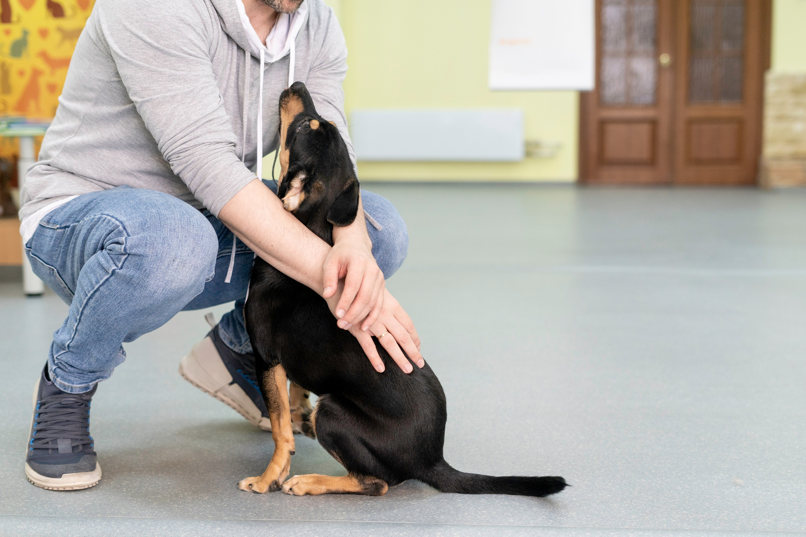 Бездомыши. Фотограф Екатерина Зорина