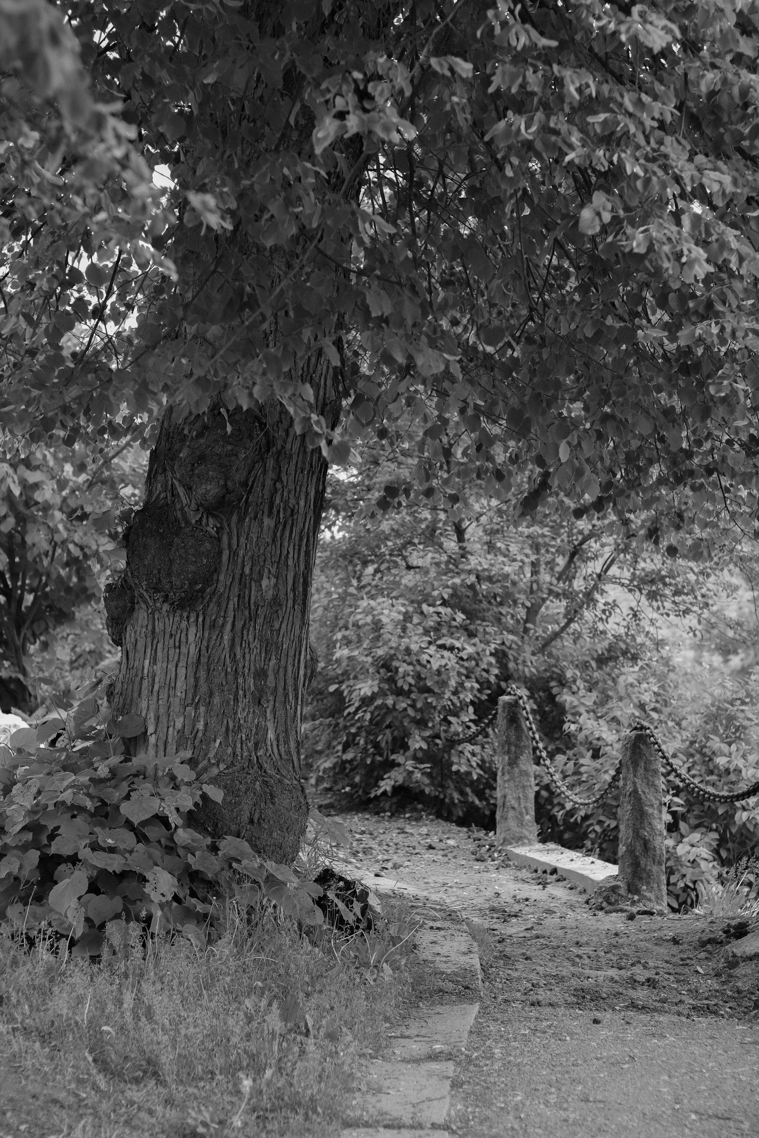 Contour. Фотограф и исследователь фотографии из Санкт-Петербурга Елизавета Веприцкая