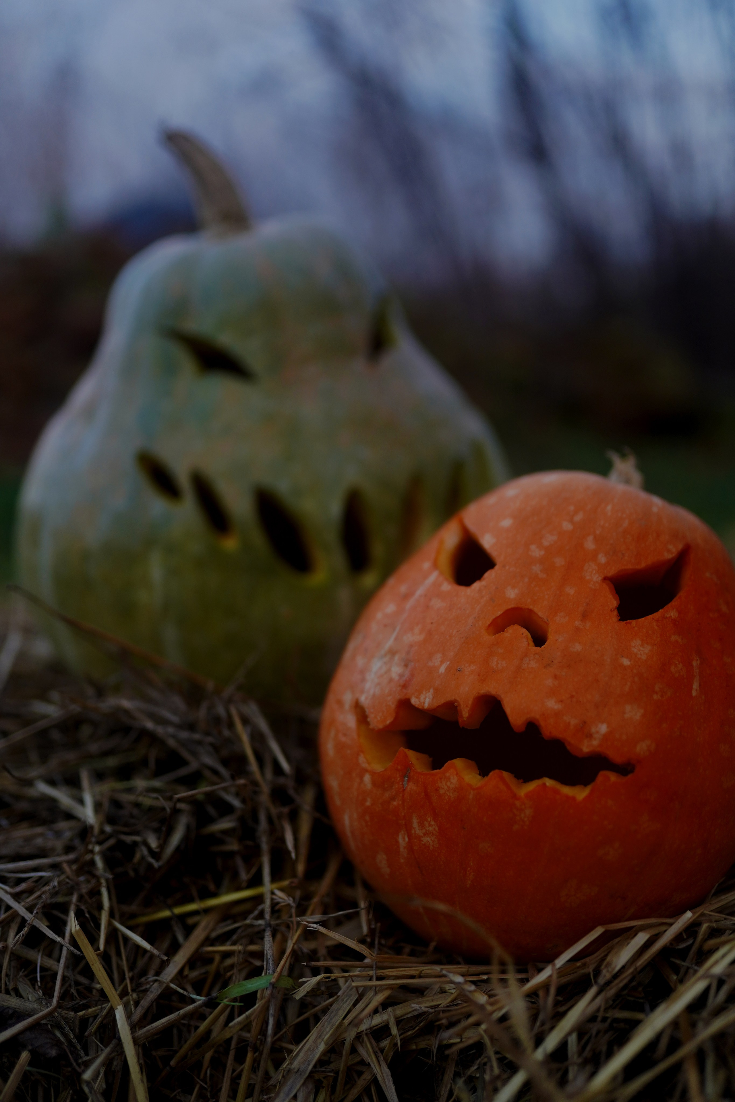 "Осенний колорит: рыжая красавица с тыквой готовится к Хэллоуину"