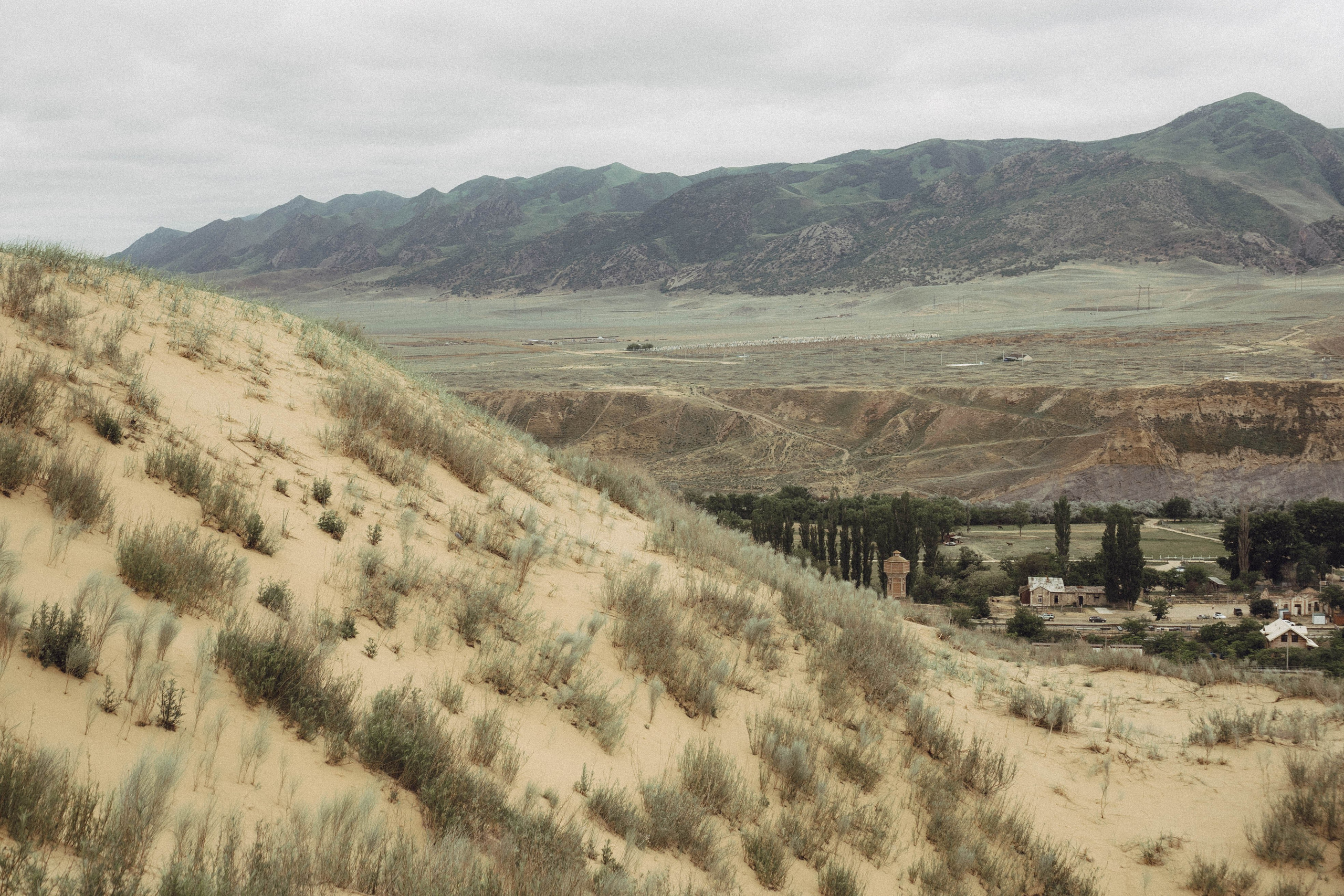 Кавказ. Профессиональный фотограф, Санкт-Петербург — Виктория Богомолова