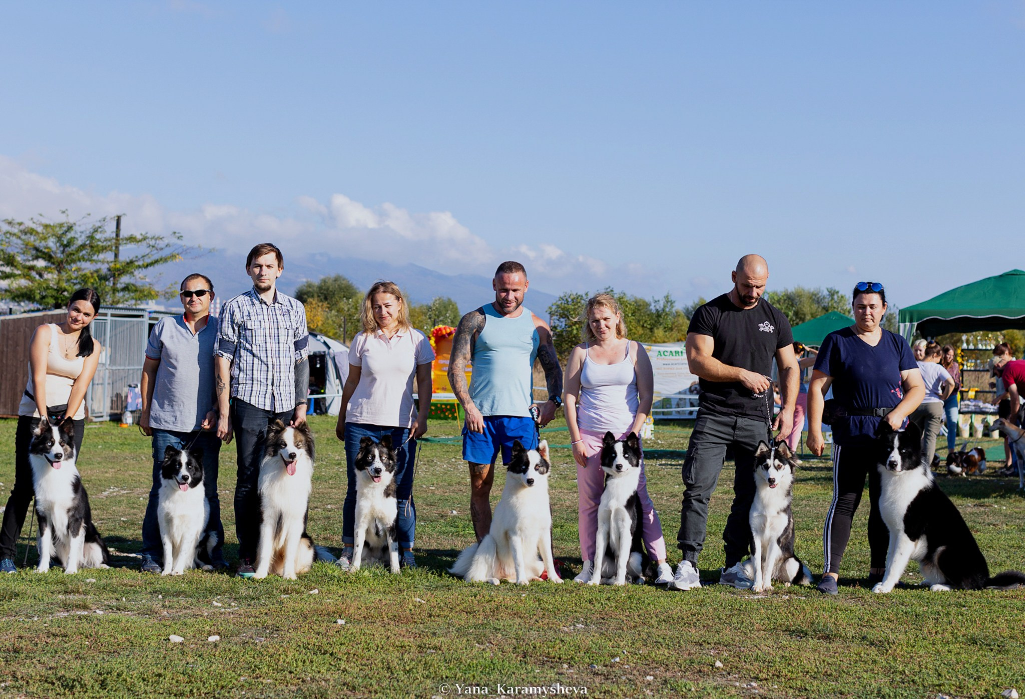 Экстерьерная, ринговая. Yana Karamysheva Animal Photo