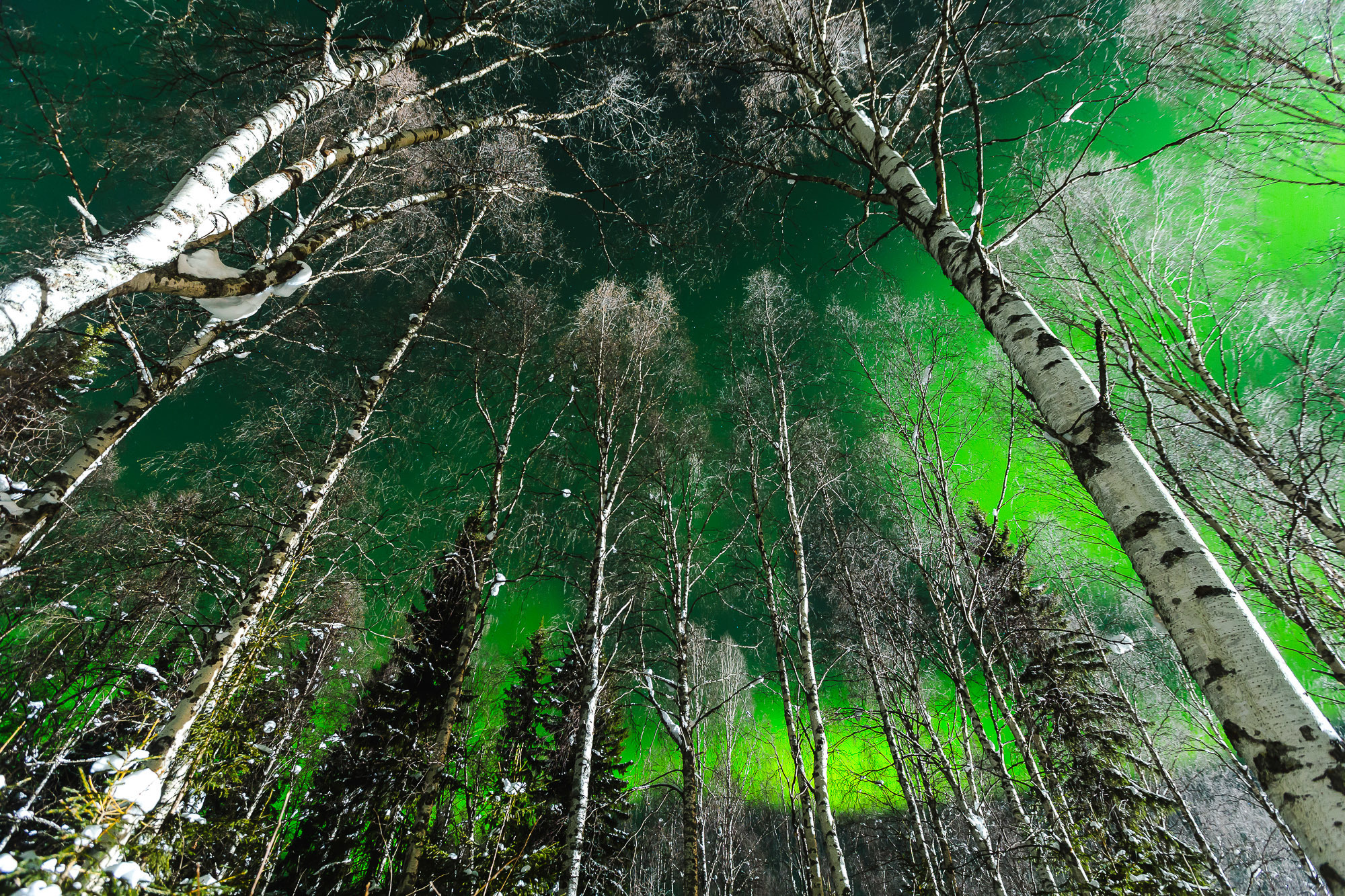 Швеция. Фотограф Дмитрий Питерский