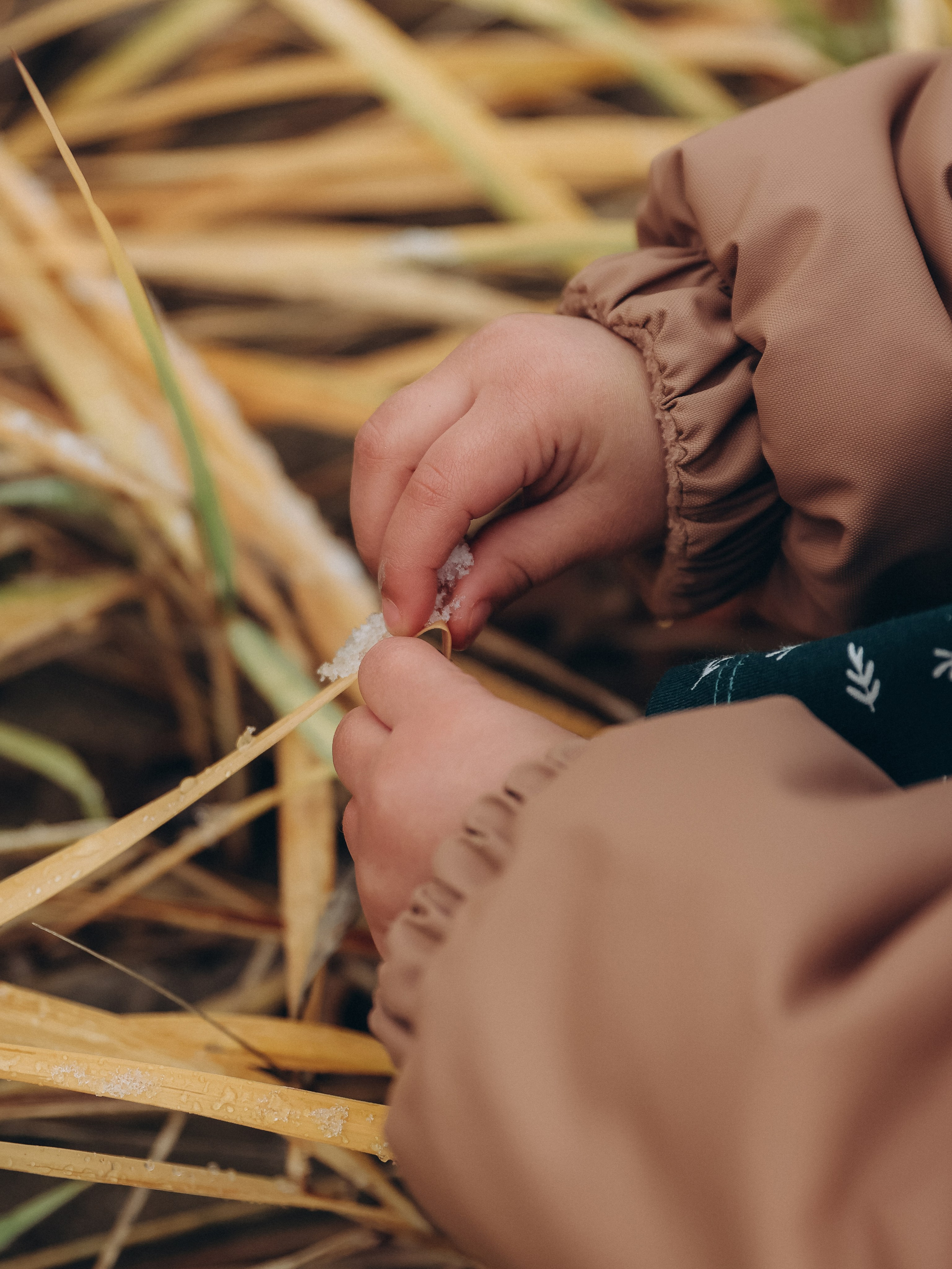 Осень для троих. Мультифотограф Динара Ахмедзянова