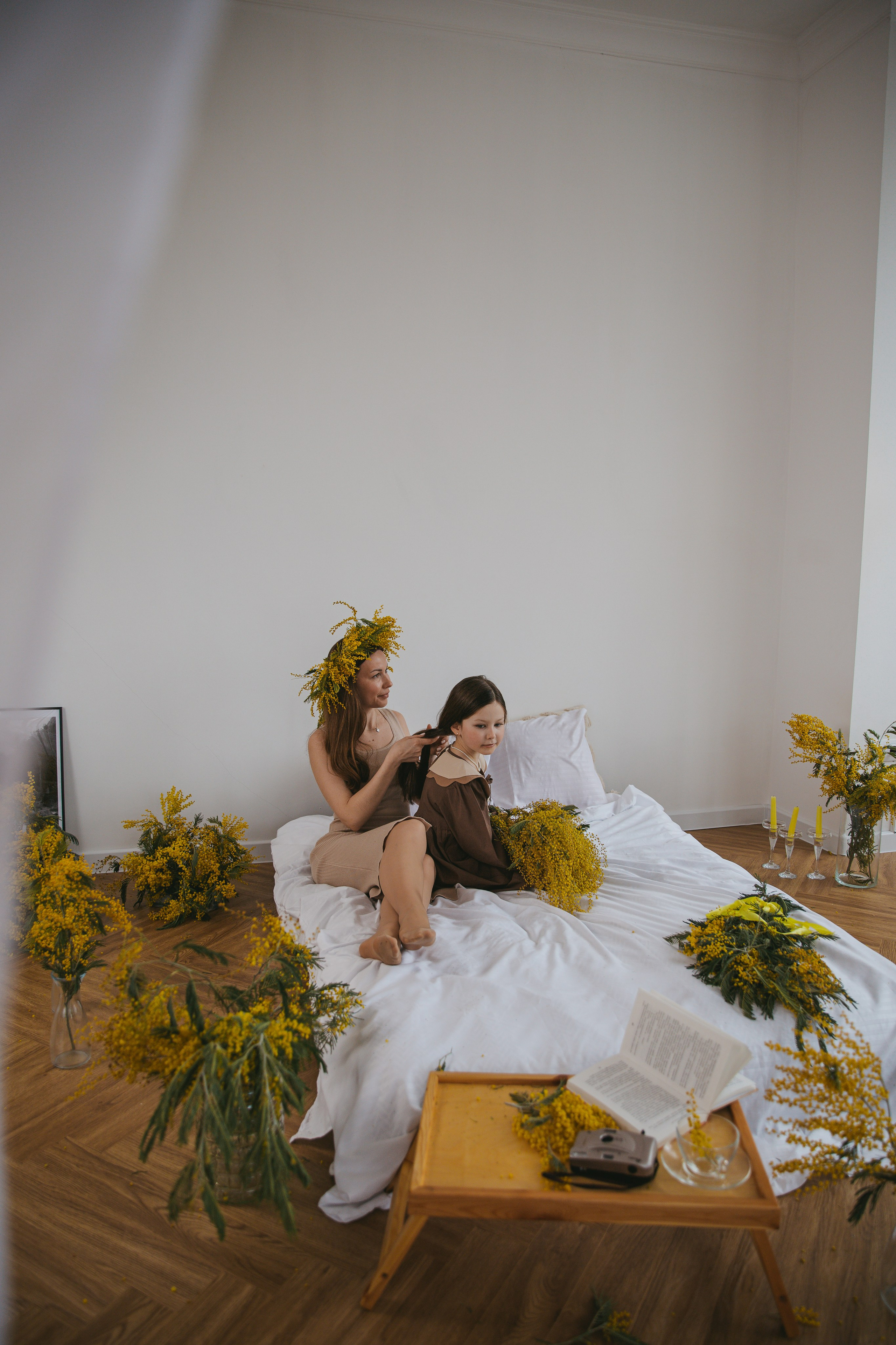 Мимозная сказка