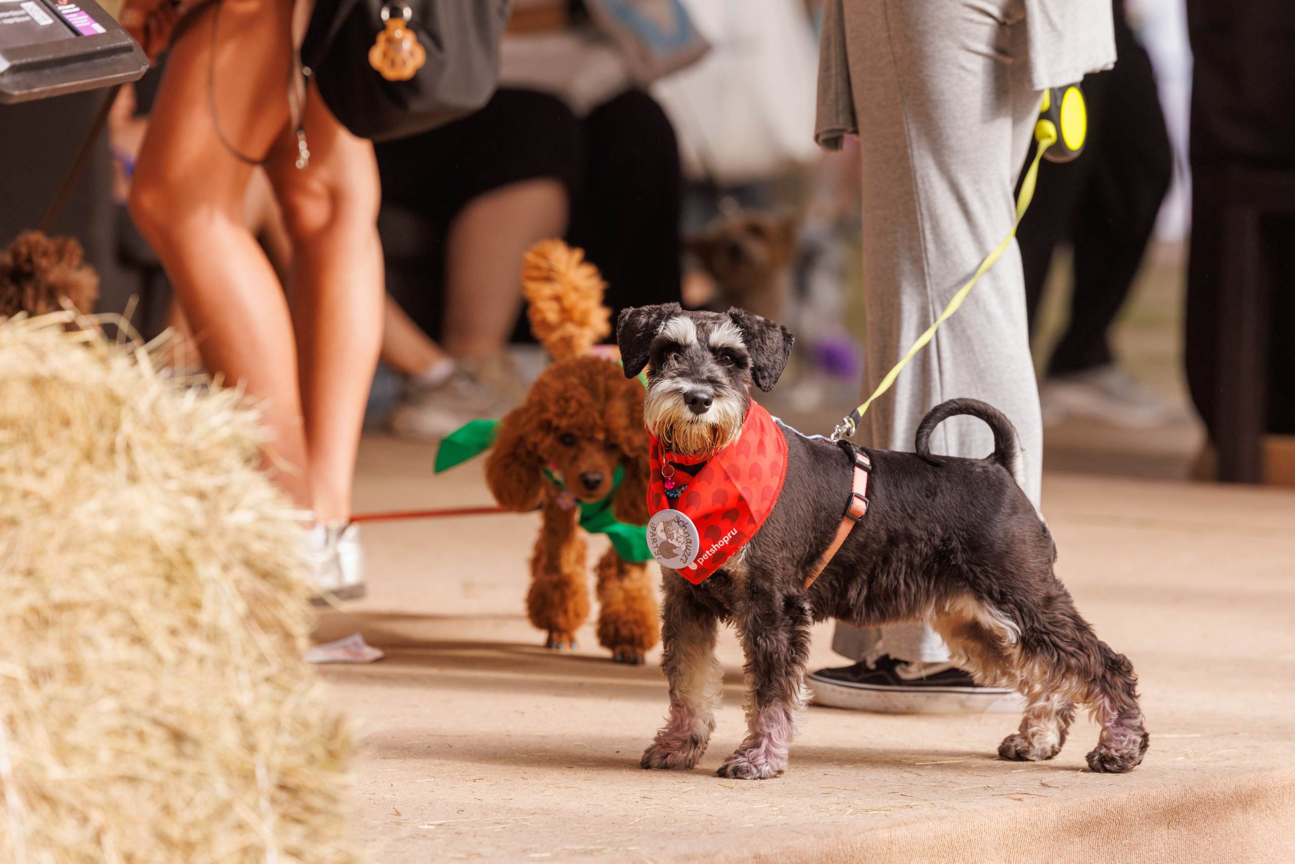 PetShopDays2026. Фотограф Александр Заломаев