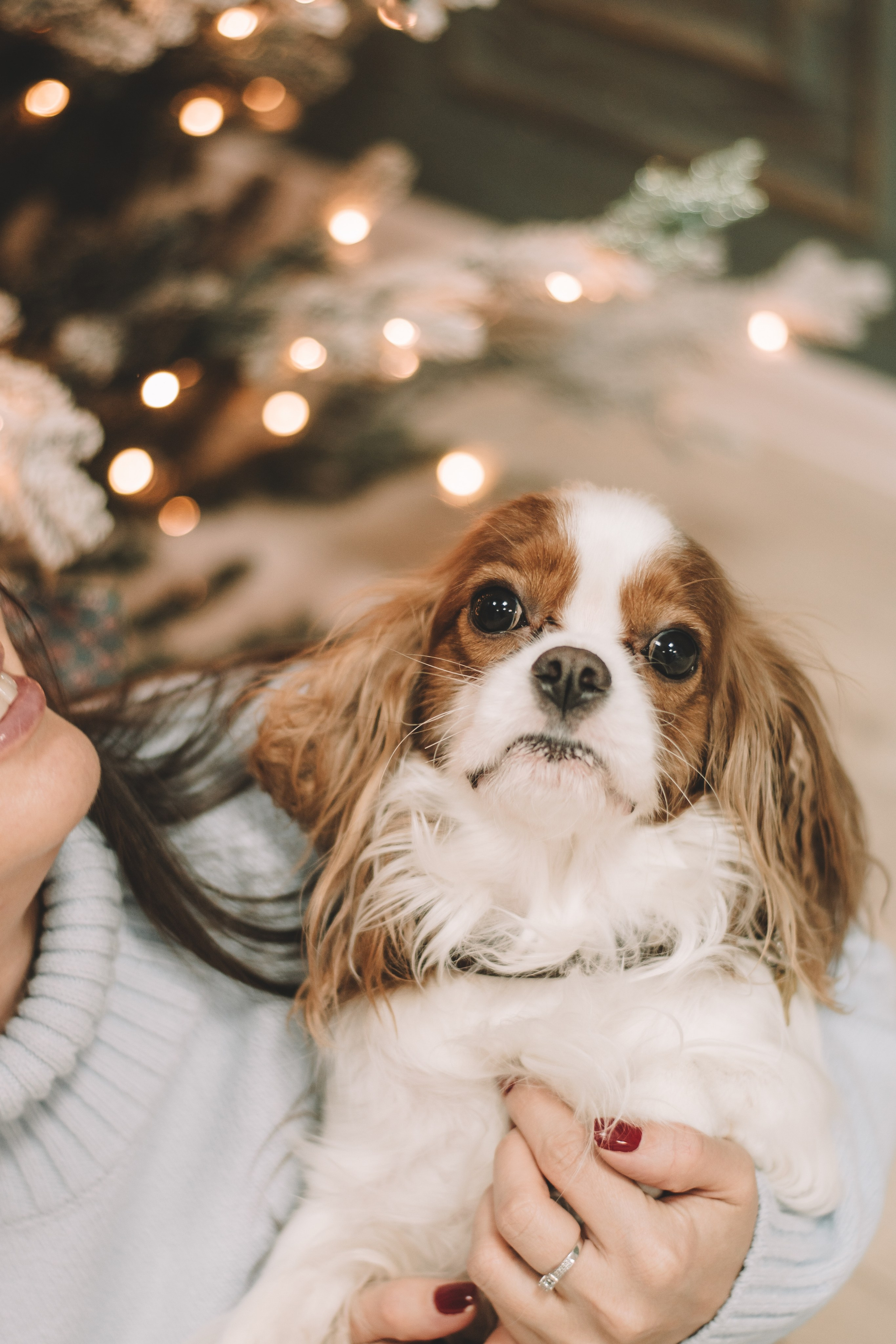 Новогодняя история для Юлии. Семейный и свадебный фотограф Губкинский и Ставрополь