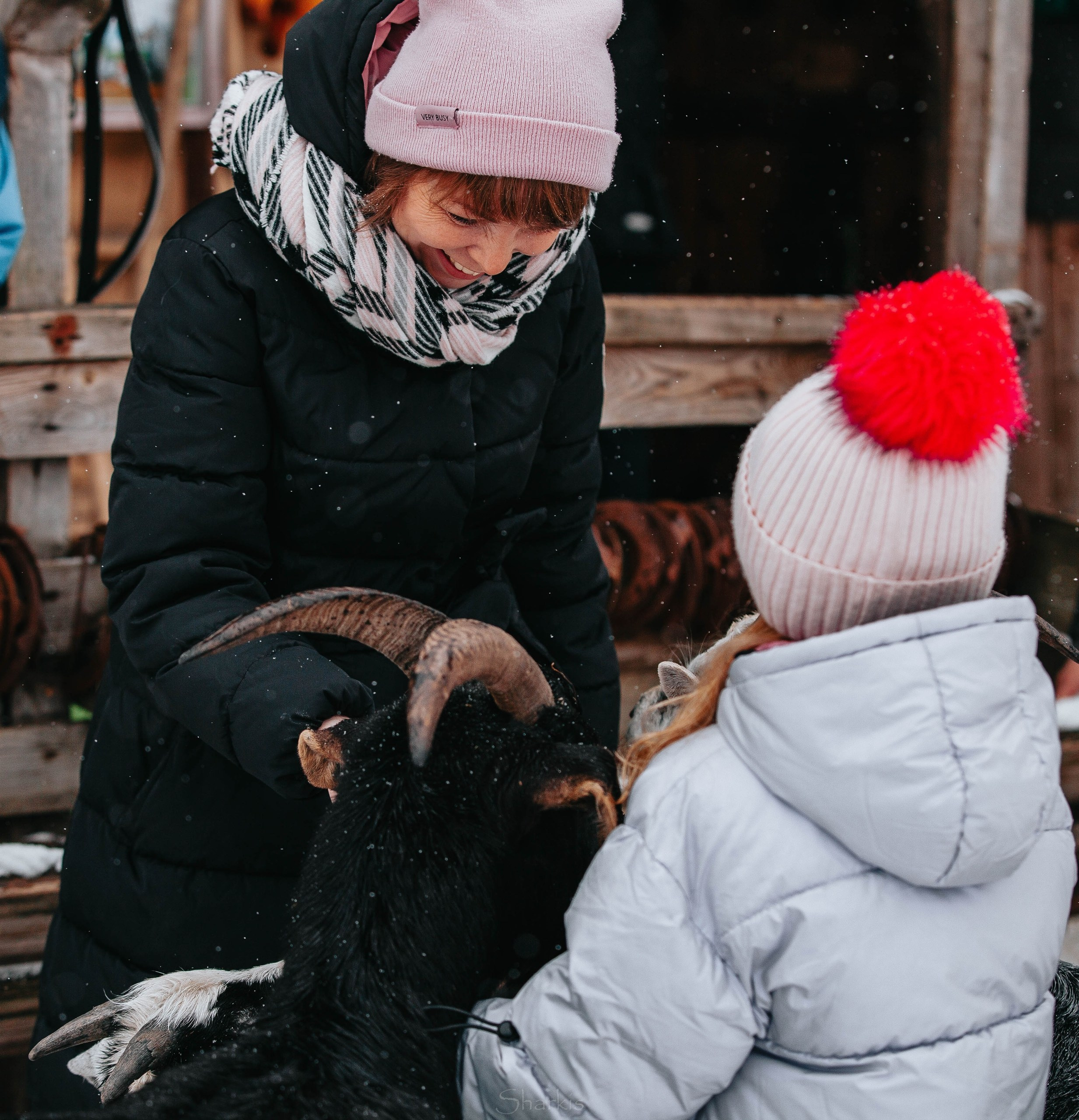Семья. Фотограф Елизавета Филатова