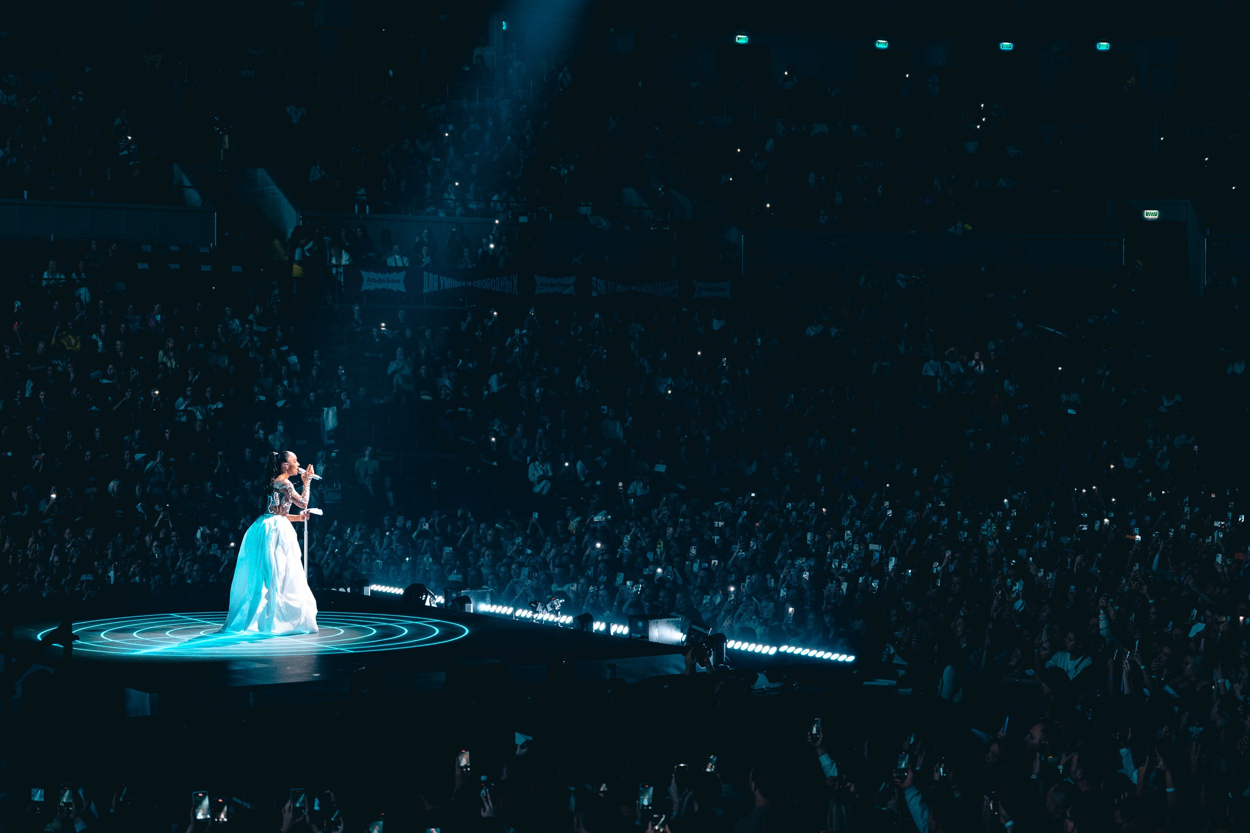 Мари Краймбрери. Магия музыки в кадре: Концертная Фотография