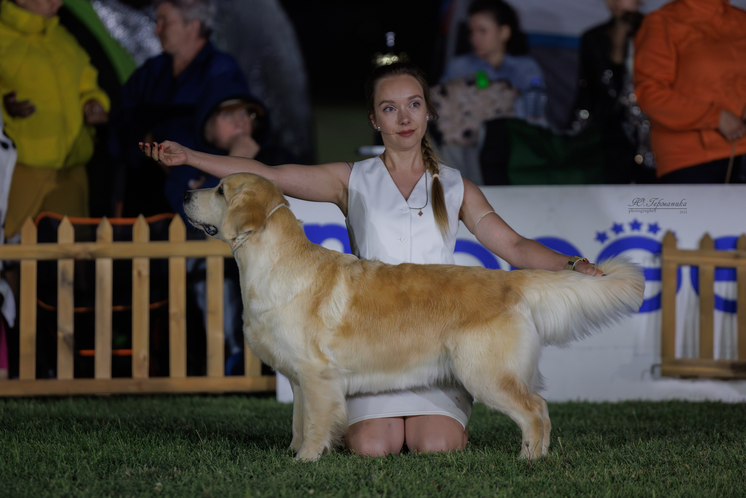 Ереван 3хCACIB 23-25.06.2025. Фотограф-анималист Юлия Германика