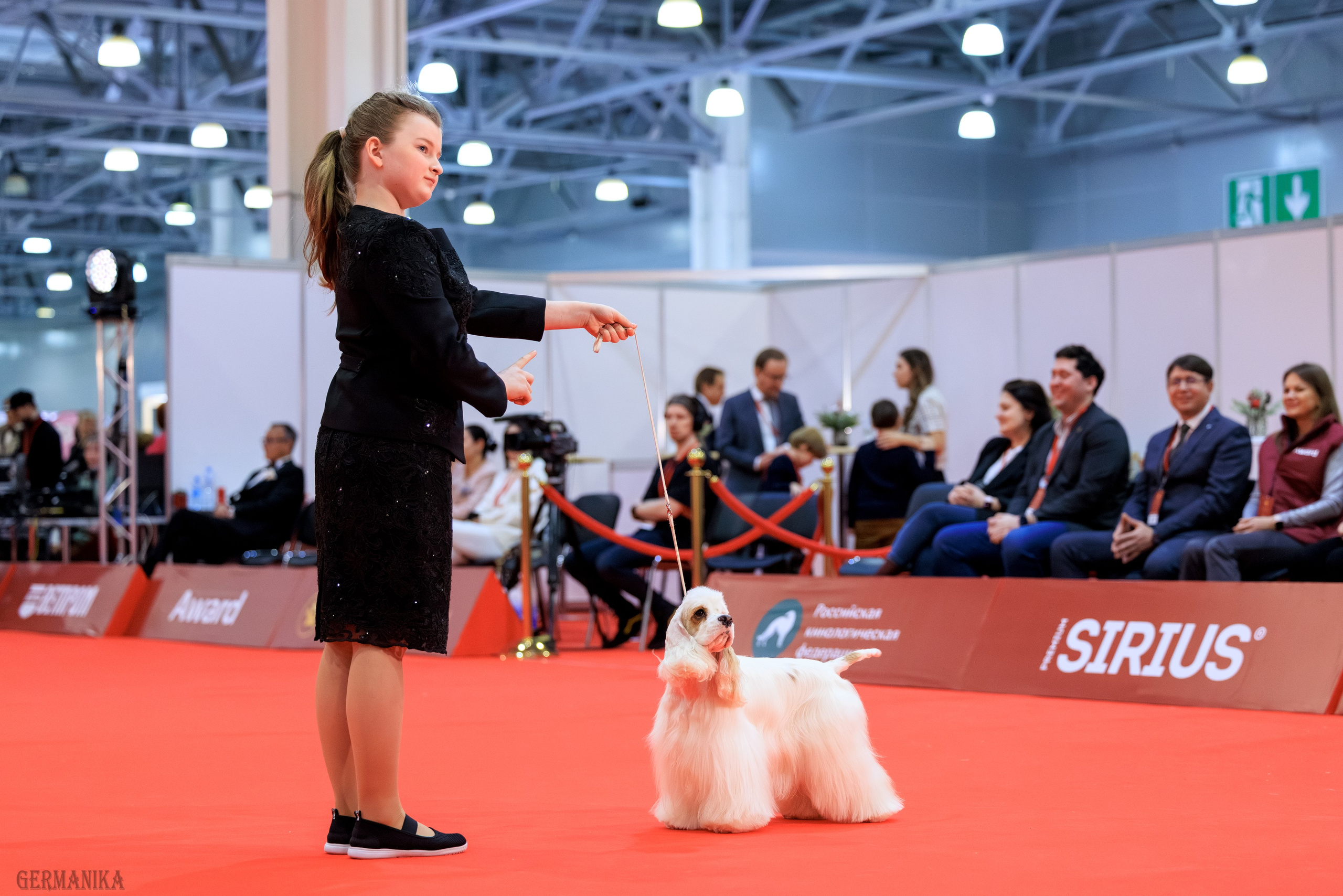 Лучшие Собаки России 17-18.02.2024. Фотограф-анималист Юлия Германика