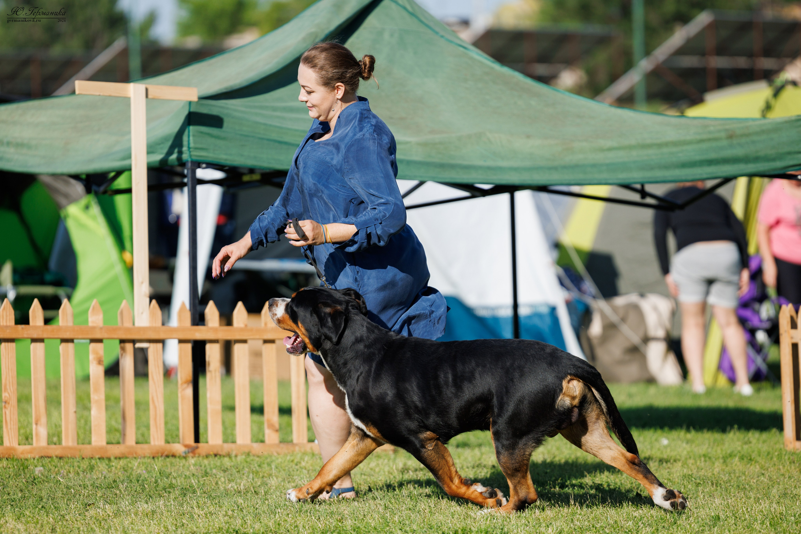 Ереван 3-5.06.2024. Фотограф-анималист Юлия Германика