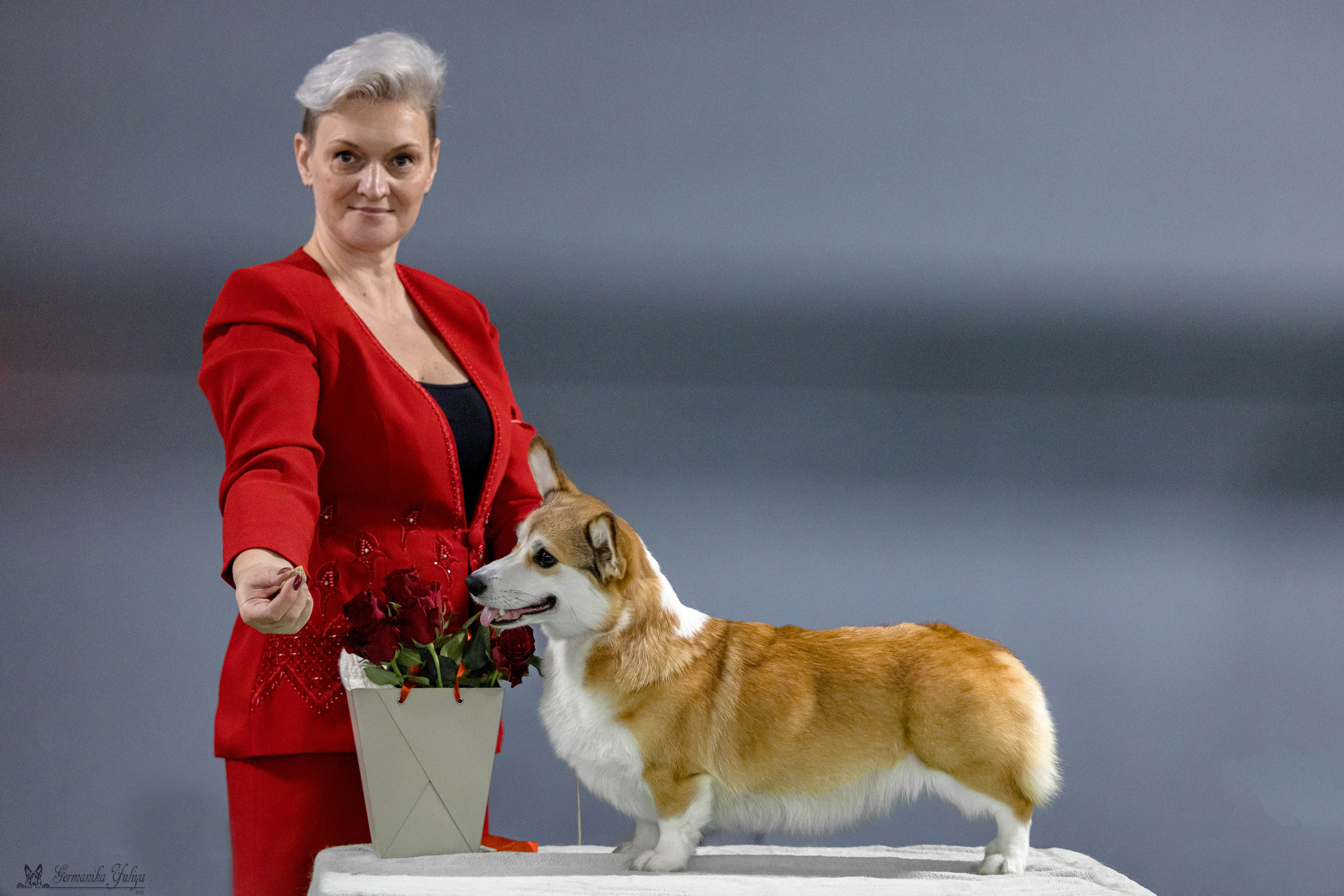 Сфера 29.10,Крокус 4.11,Сфера 12.11.2023. Фотограф-анималист Юлия Германика