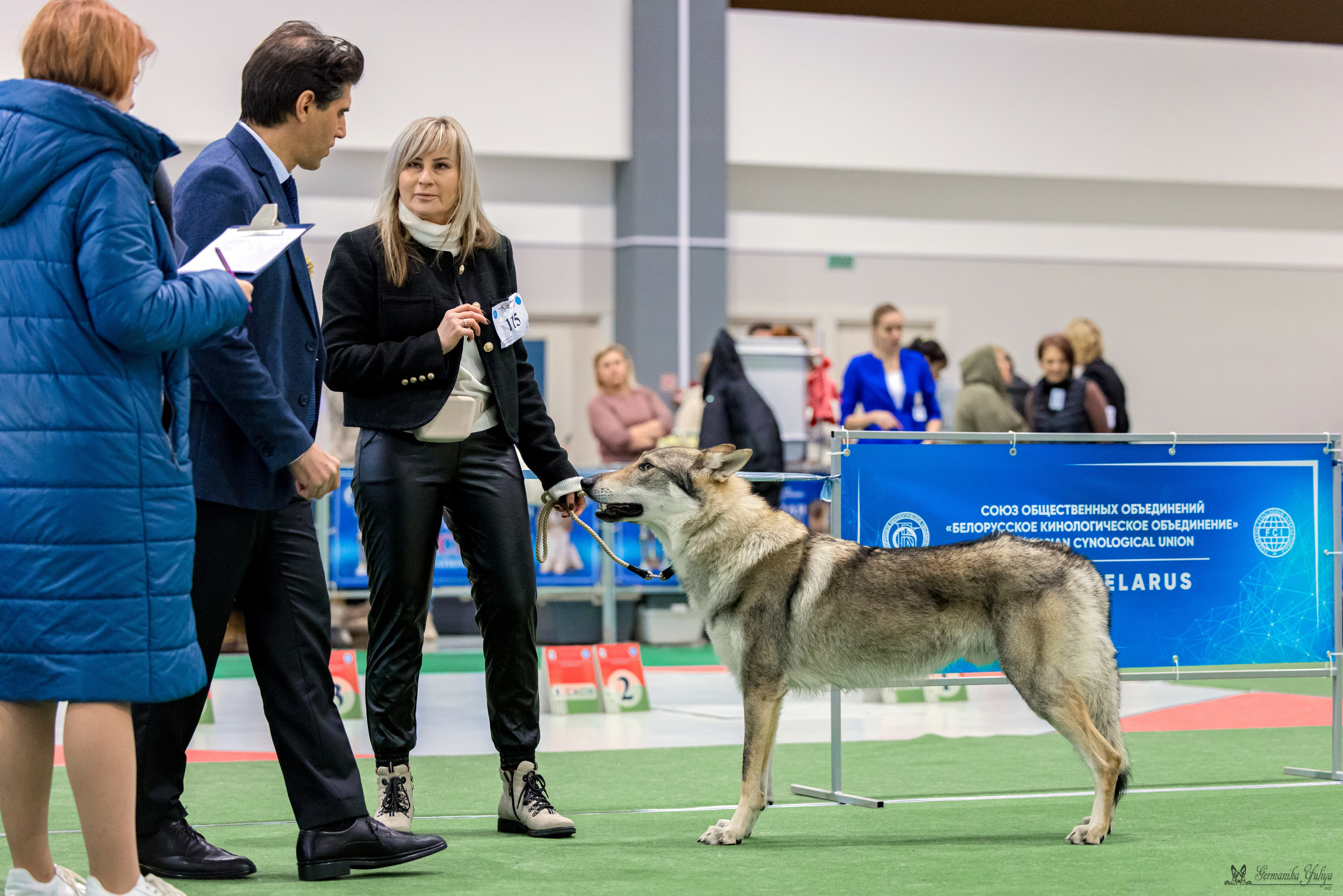 Минск 25-26.11.2023. Фотограф-анималист Юлия Германика