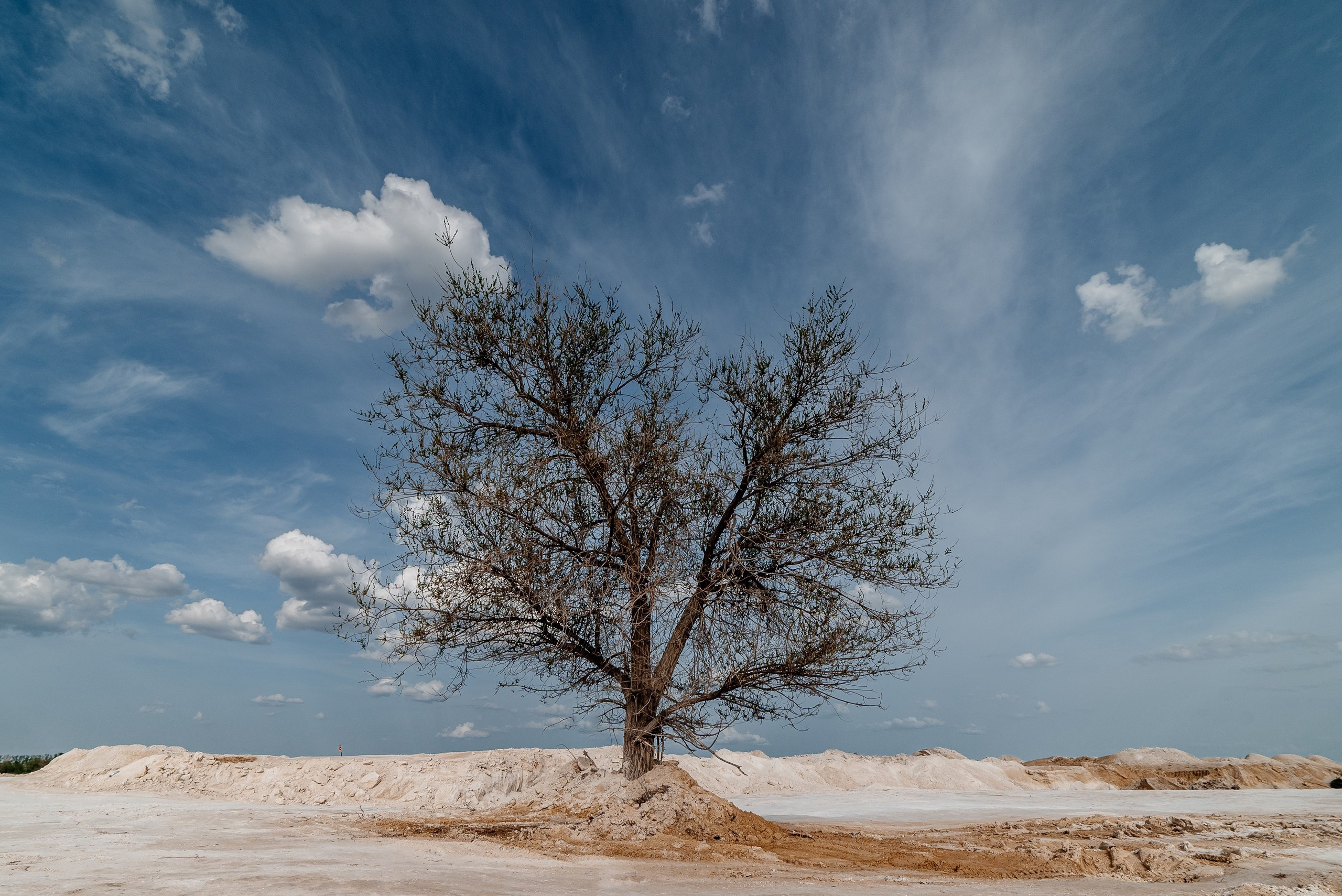 меловые горки, дерево, небо, облака