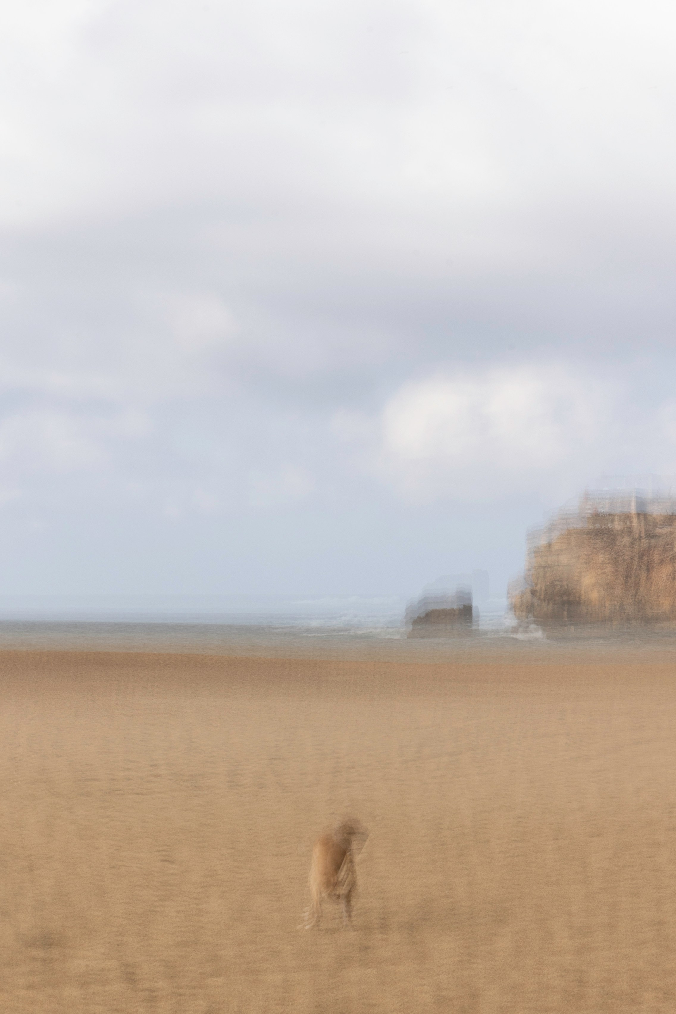 Art prints. Фотограф алина стерхова, алина стерхова фотограф, фотограф москва