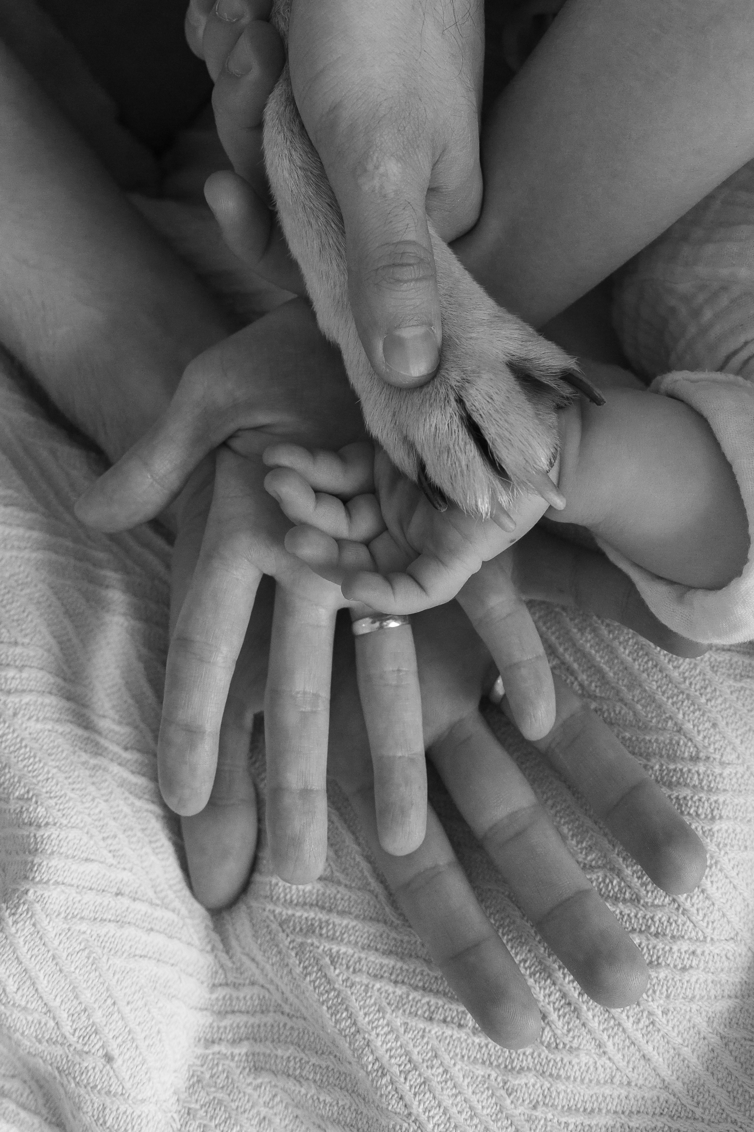 Аня, Даниил и Максим | семейная съёмка. Свадебный фотограф в Москве Яна Деньгина