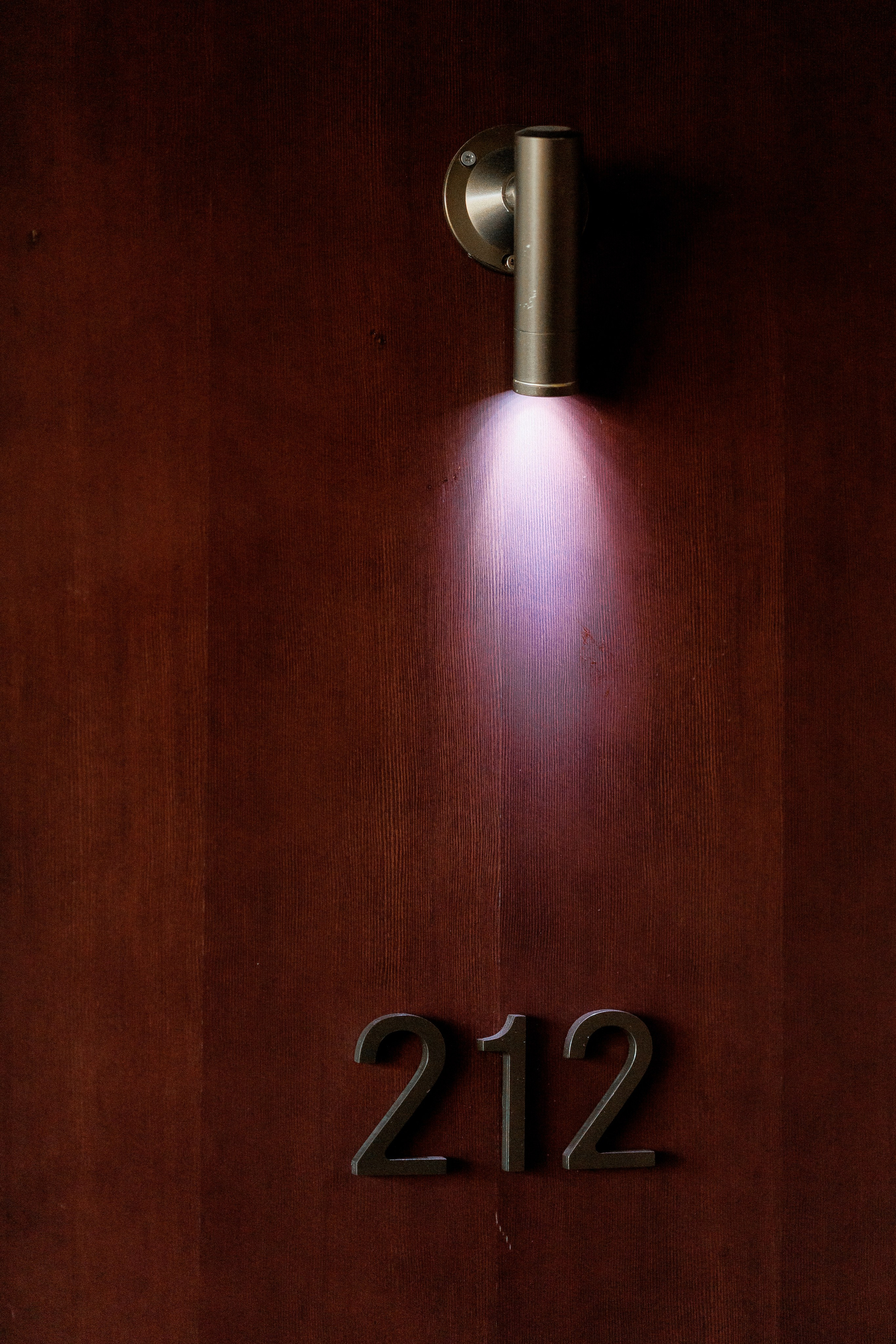 Wedding Day. LEONTEVA_ANASTASIA