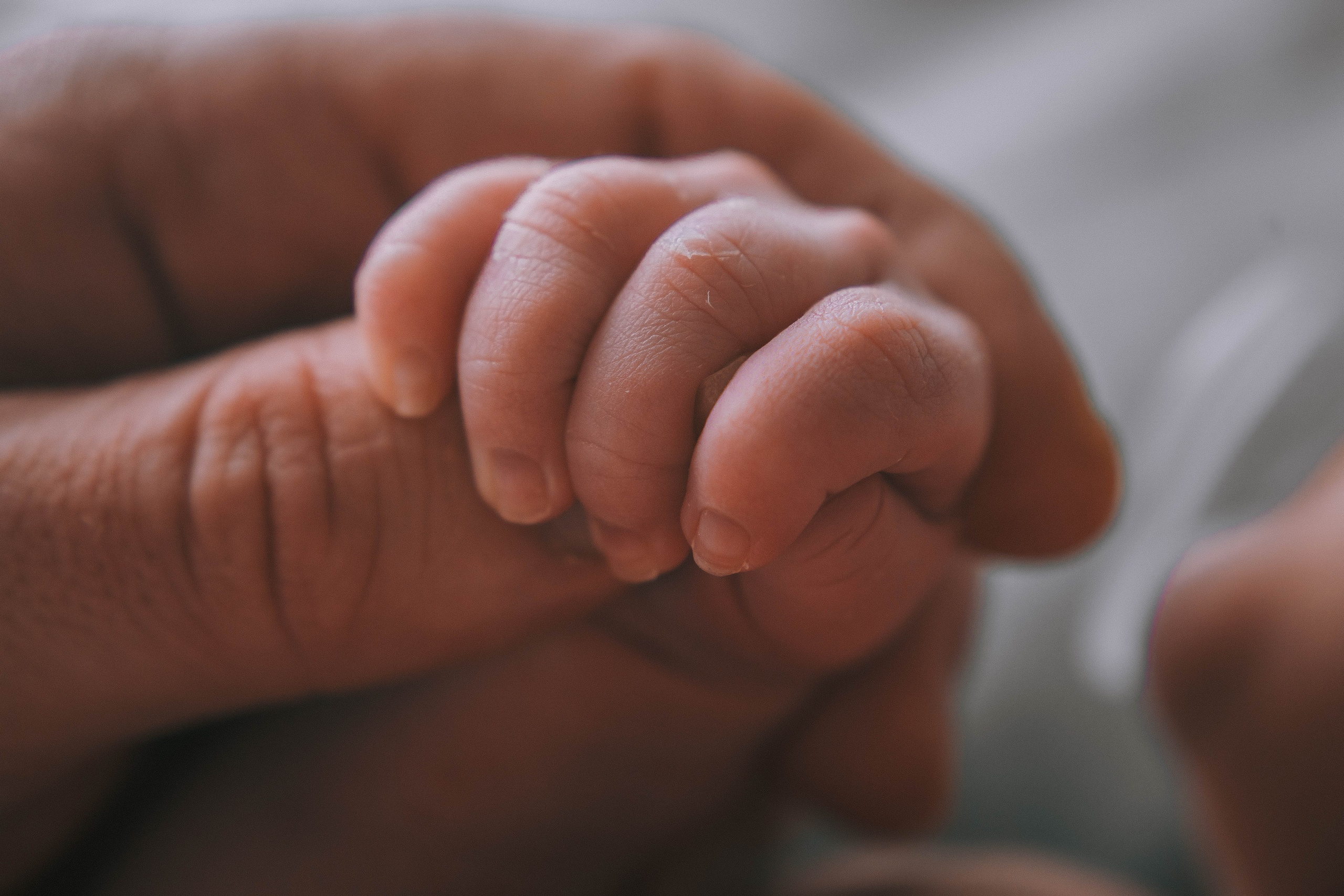 Доминик. NewBorn. Фотограф СЕМЬИ и ДЕТСТВА в Краснодаре и Краснодарском крае Екатерина Москат