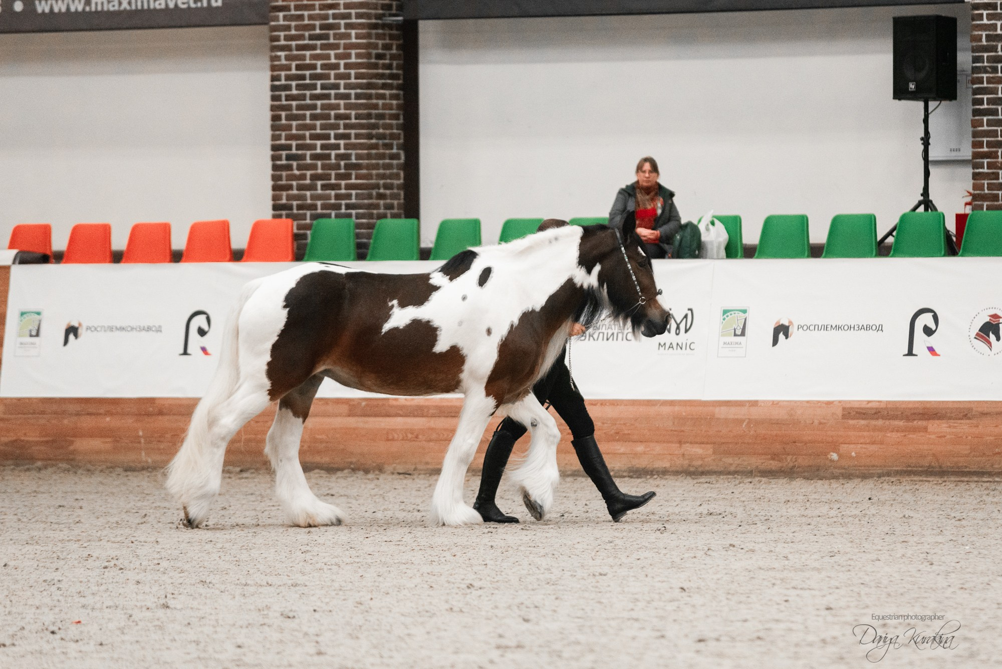 8-я международная выставка Конная Россия. Конный фотограф Куракина Дарья • Фотосессии с лошадьми