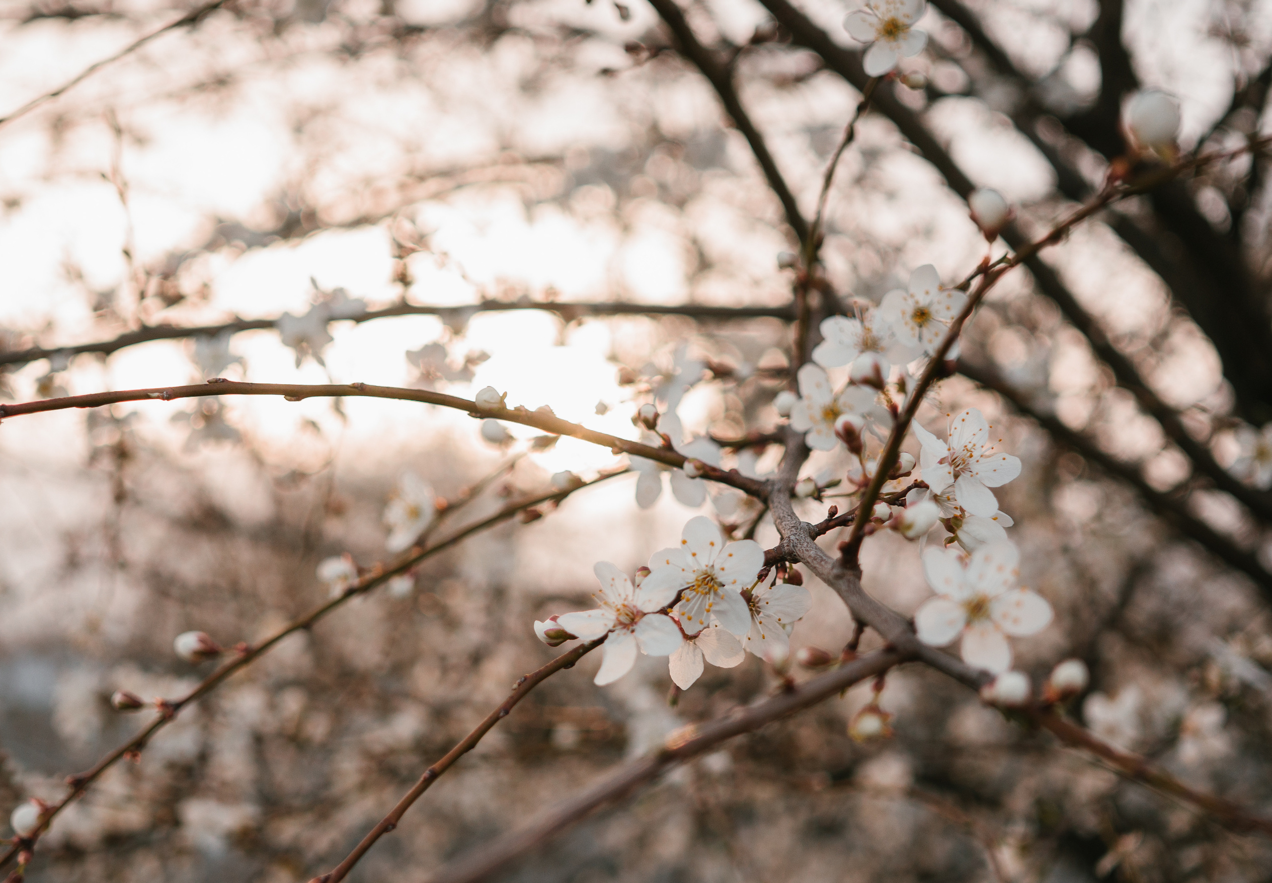 Природа. Свадебный и семейный фотограф в Краснодаре и Краснодарском крае