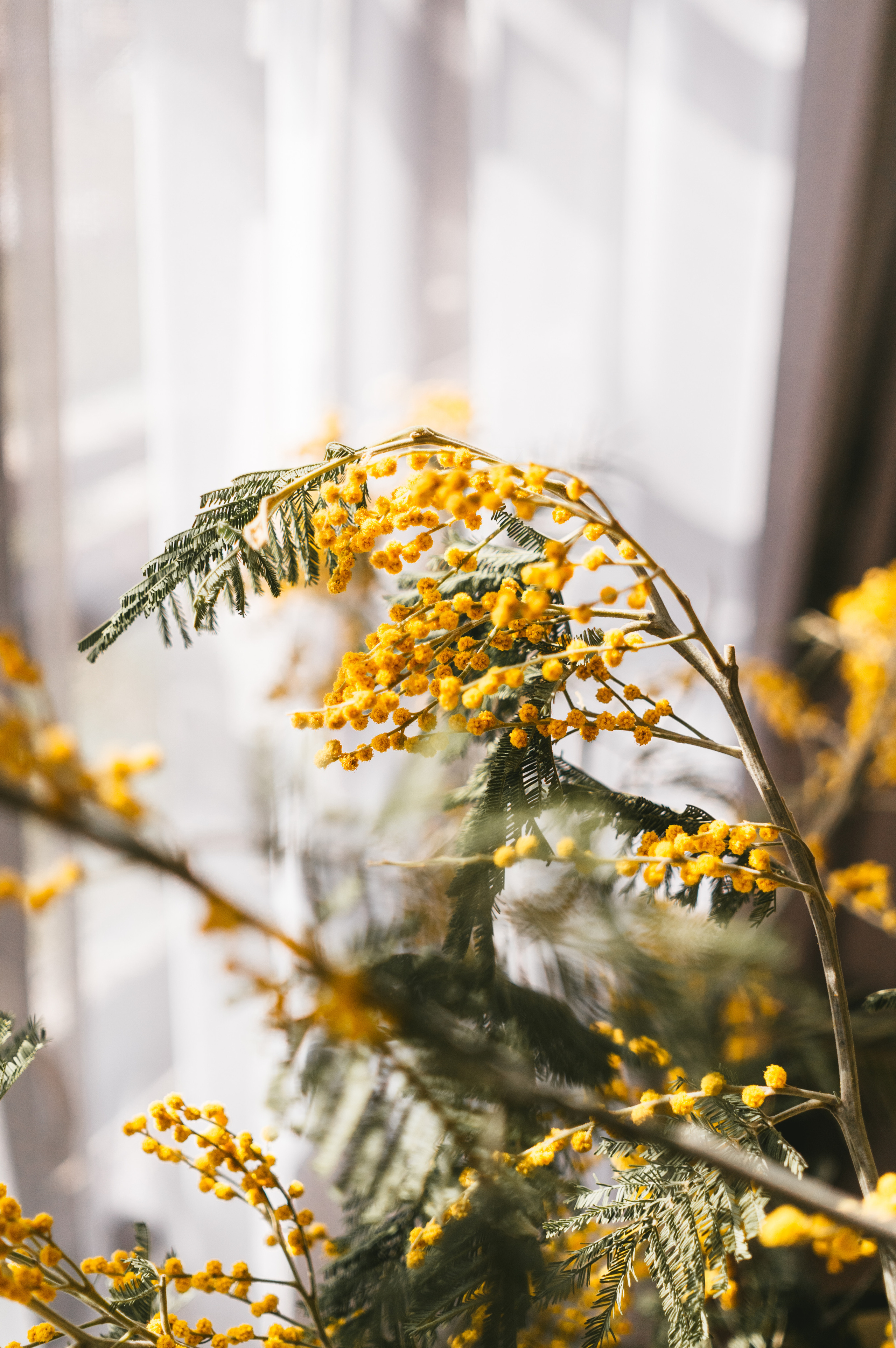 Природа. Свадебный и семейный фотограф в Краснодаре и Краснодарском крае