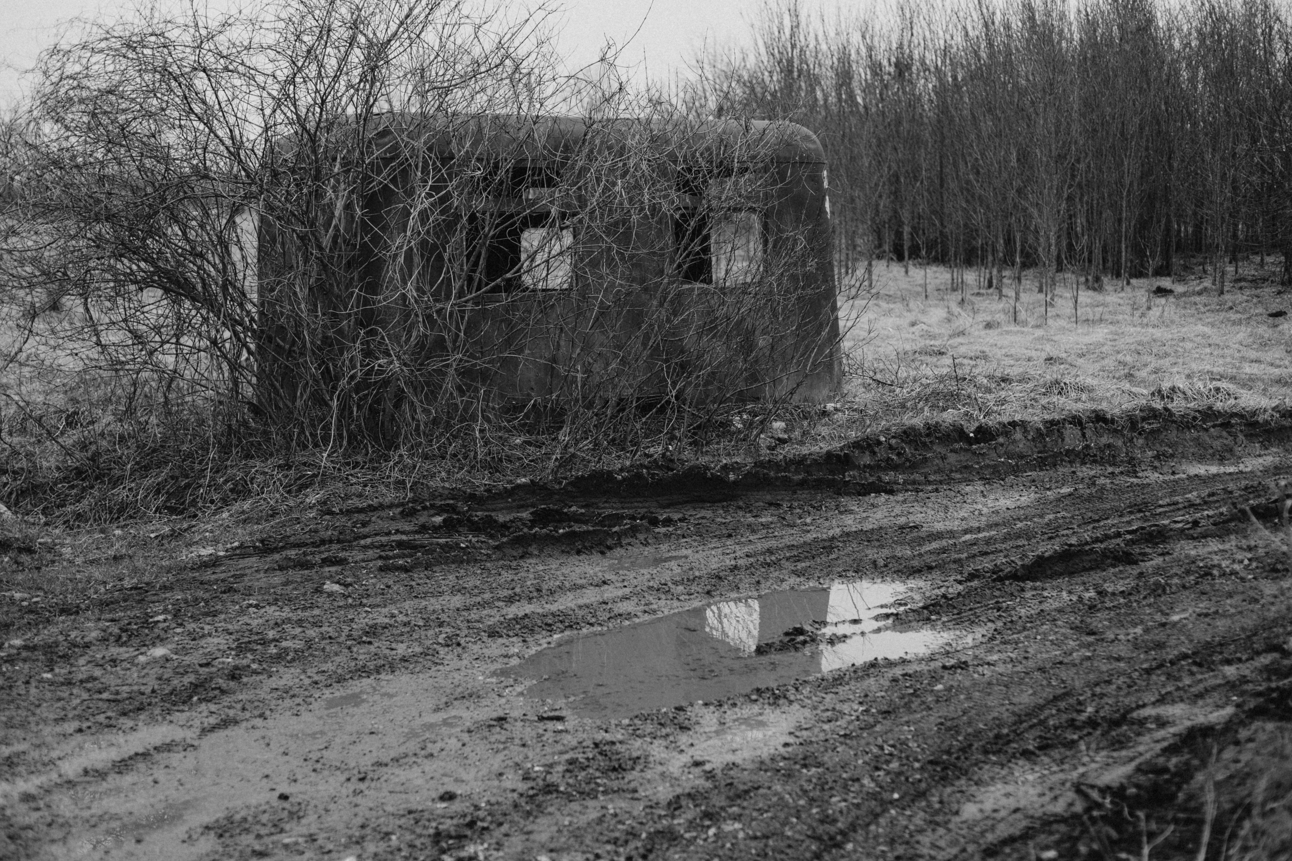 Природа. Свадебный и семейный фотограф в Краснодаре и Краснодарском крае