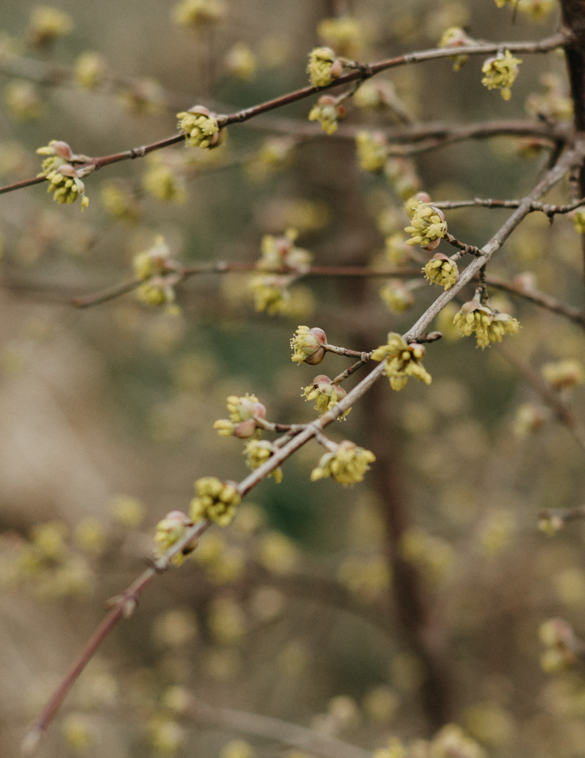 Природа. Свадебный и семейный фотограф в Краснодаре и Краснодарском крае