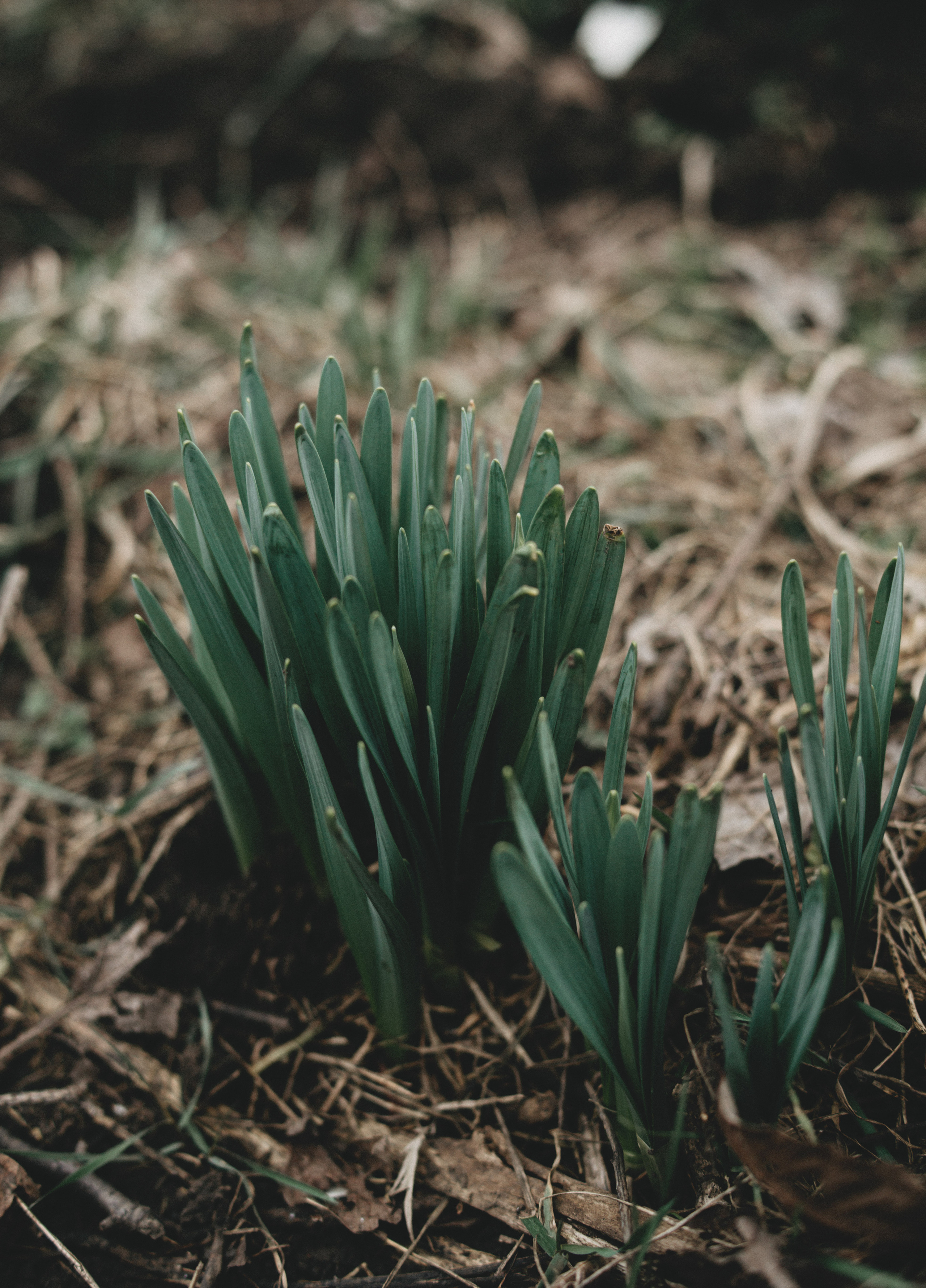 Природа. Свадебный и семейный фотограф в Краснодаре и Краснодарском крае
