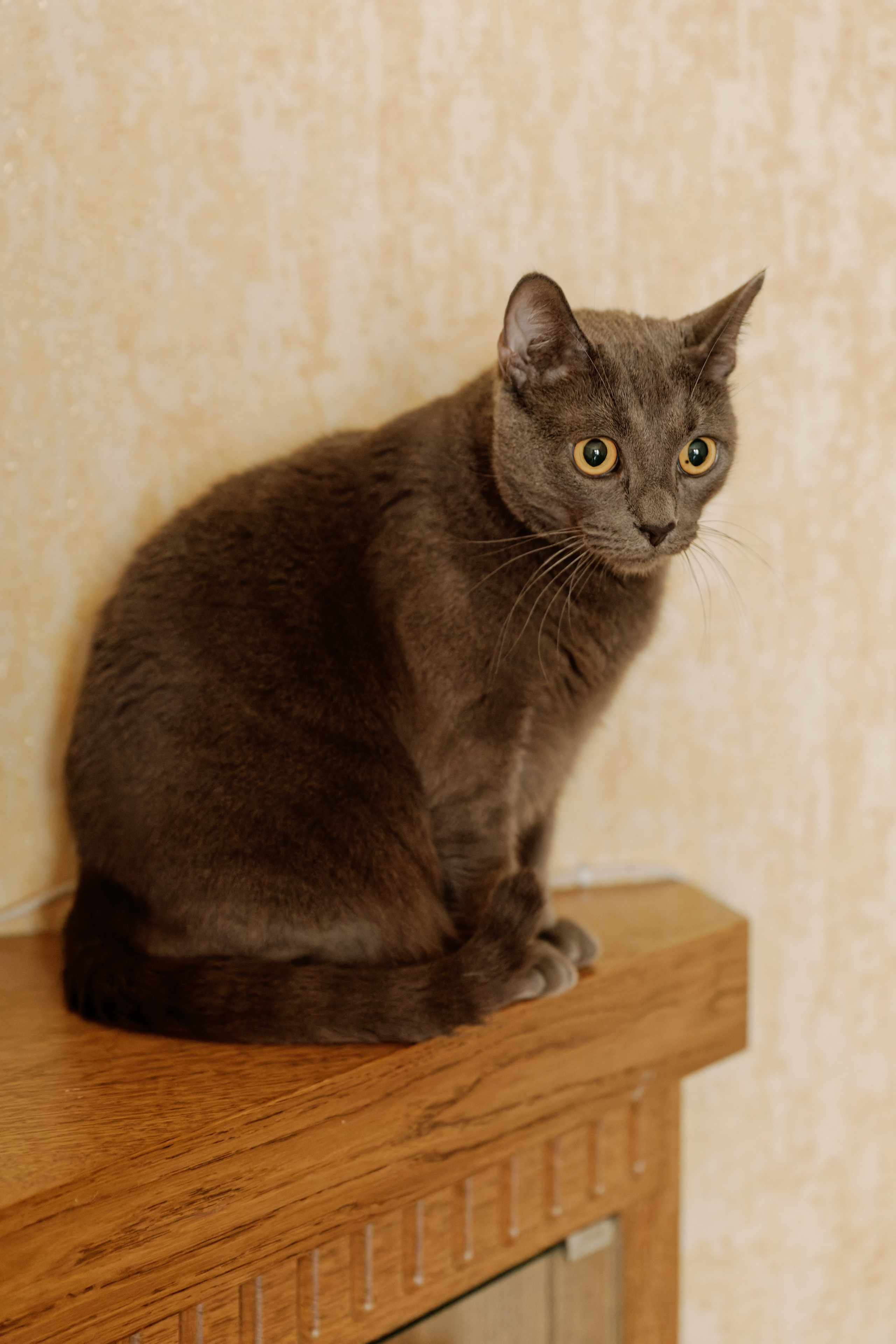 Кирилл и Екатерина. Видеограф Павел Борисов | Москва | СПБ | Брянск