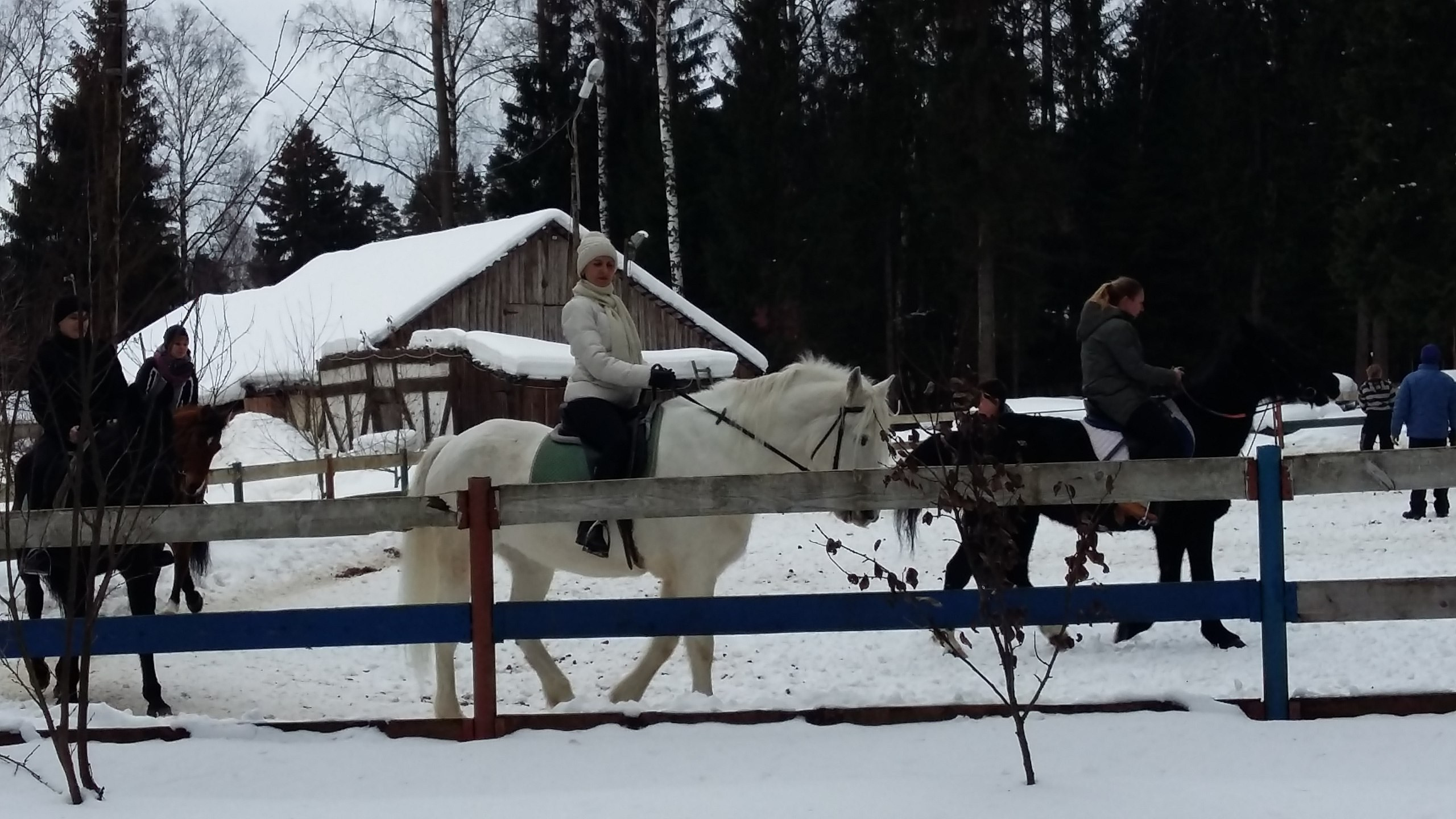 Активные выходные |18-19.02.2017. Галерея Фантим