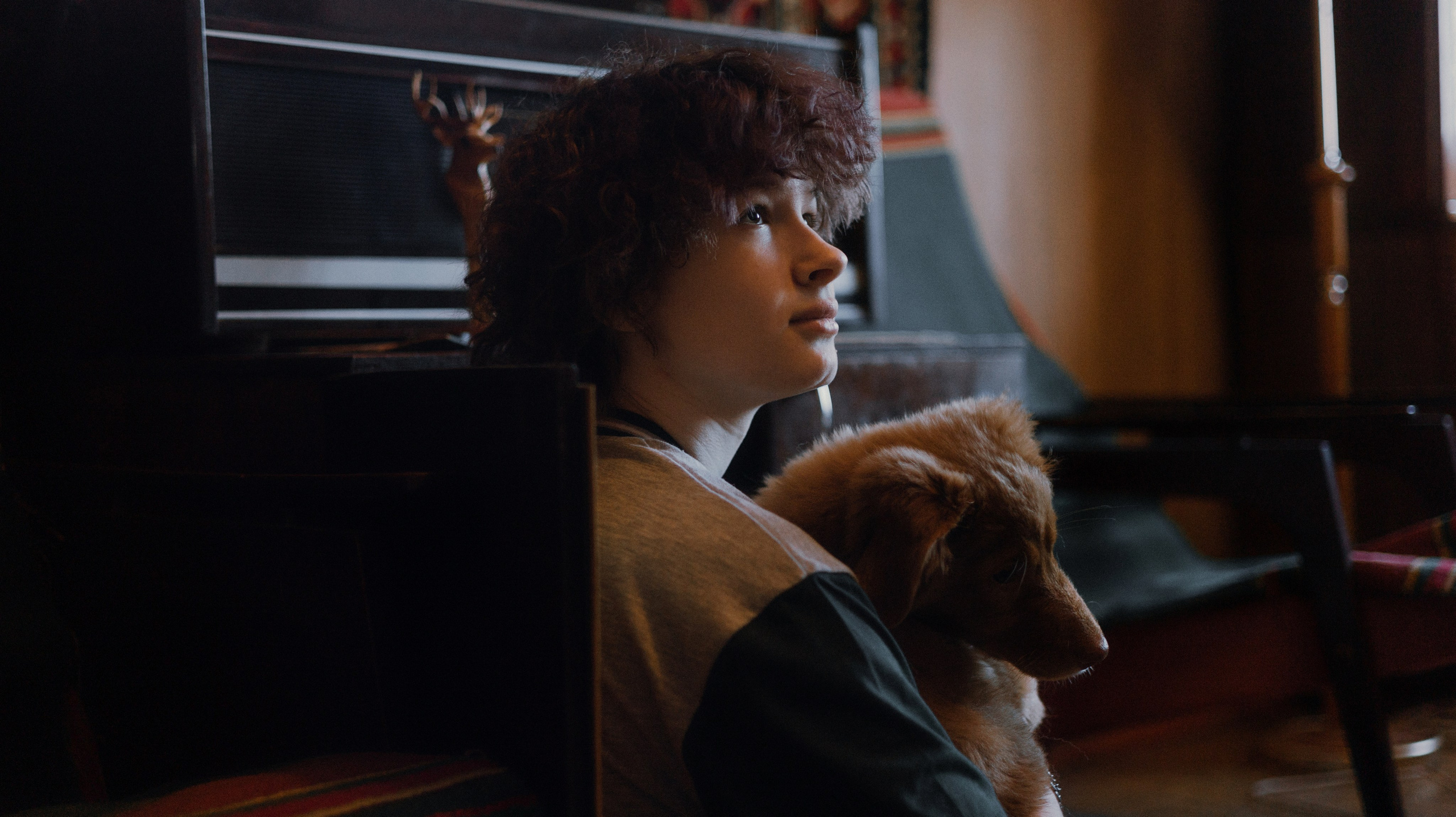 Лера, Реджи и Ральф. Фотограф-анималист Богданова Полина