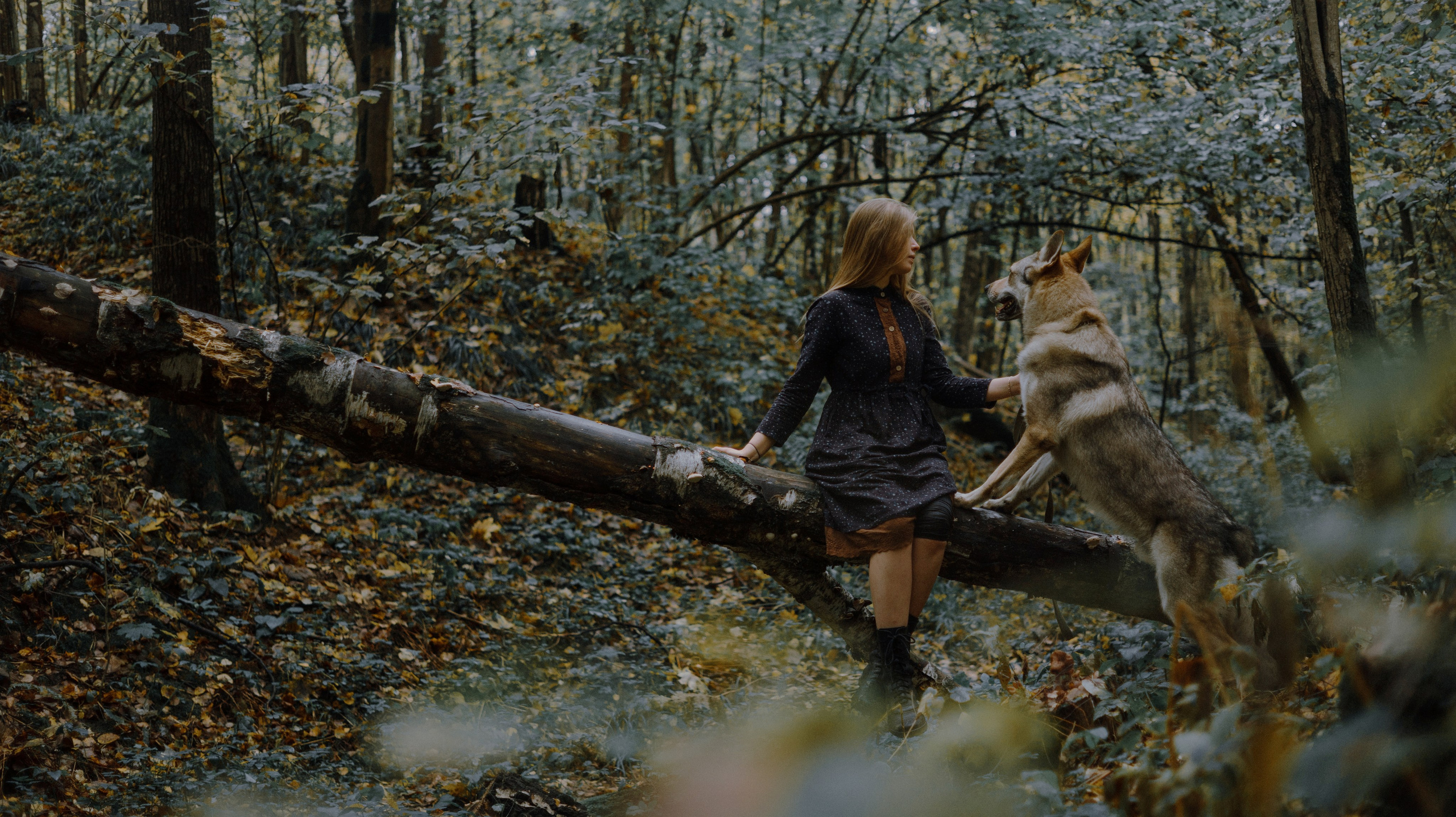 Полина и Вегард. Фотограф-анималист Богданова Полина