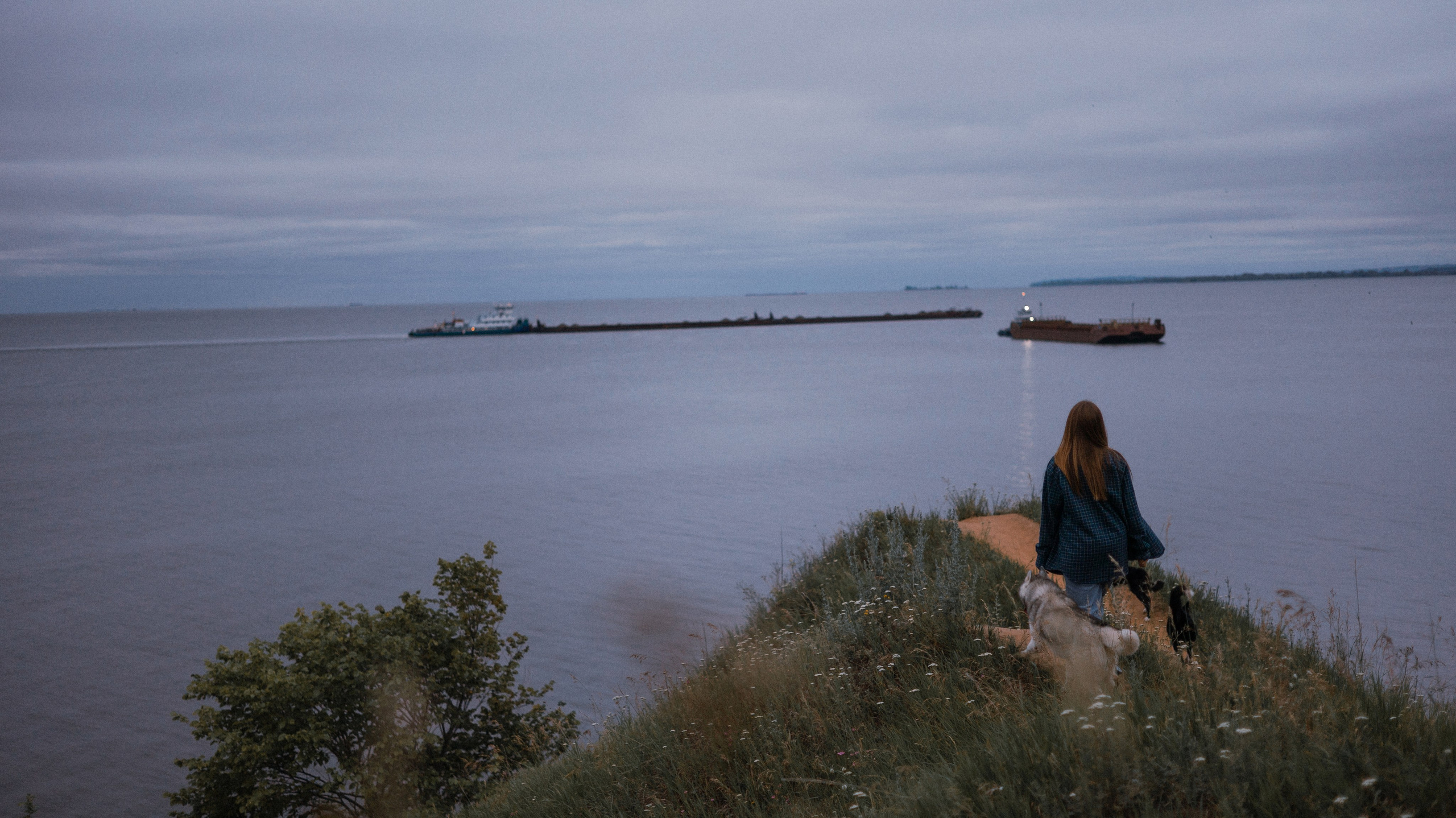 Аделя, Вандер, Шайна и Бая. Фотограф-анималист Богданова Полина