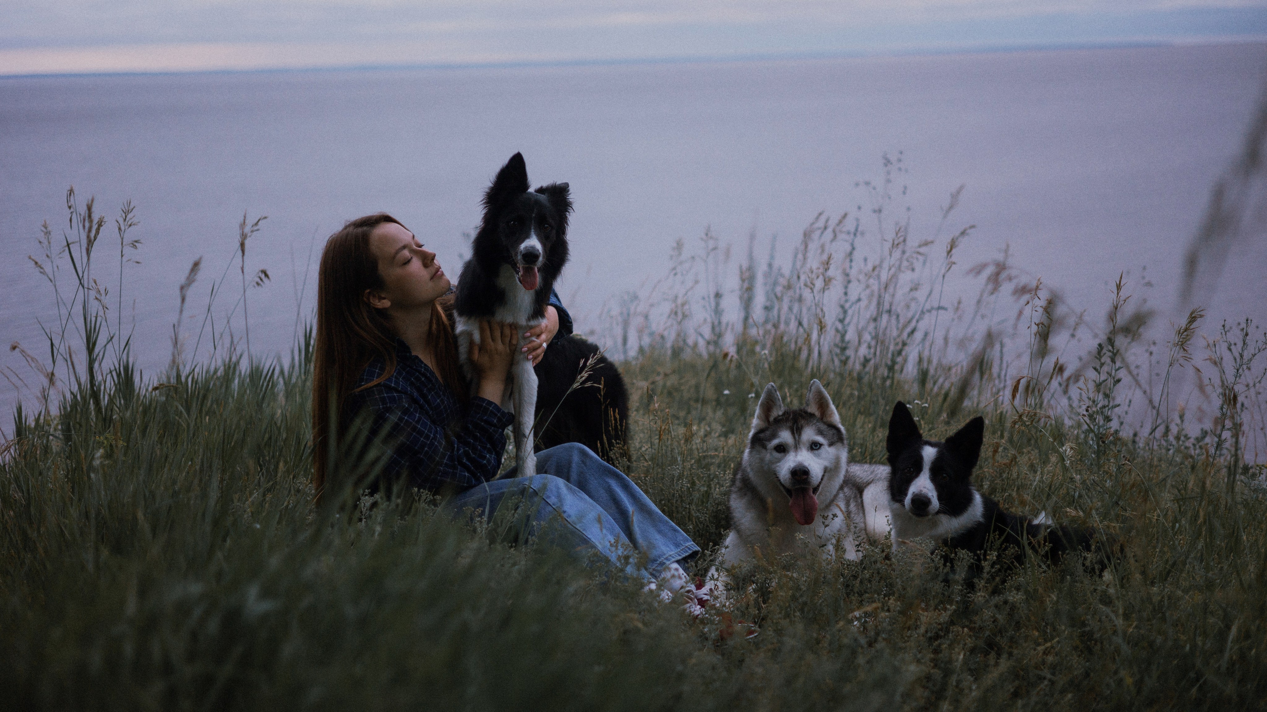 Аделя, Вандер, Шайна и Бая. Фотограф-анималист Богданова Полина