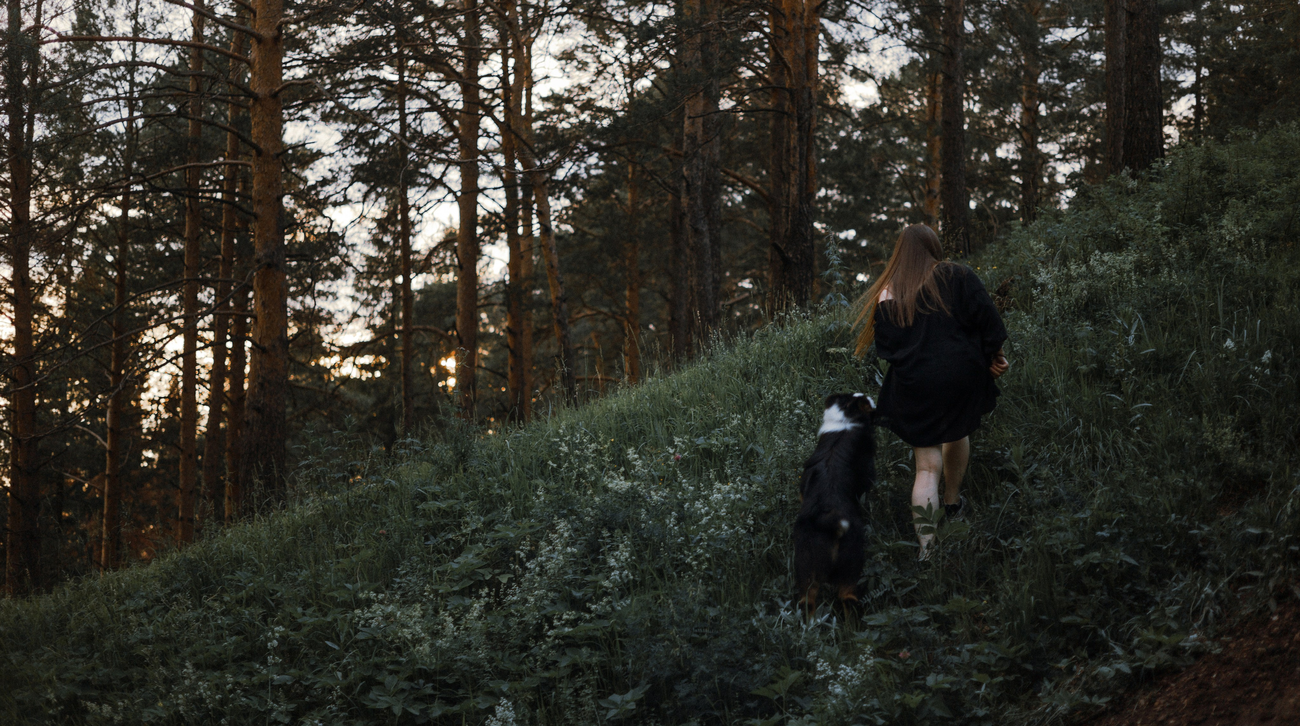 Яна и Уга. Фотограф-анималист Богданова Полина