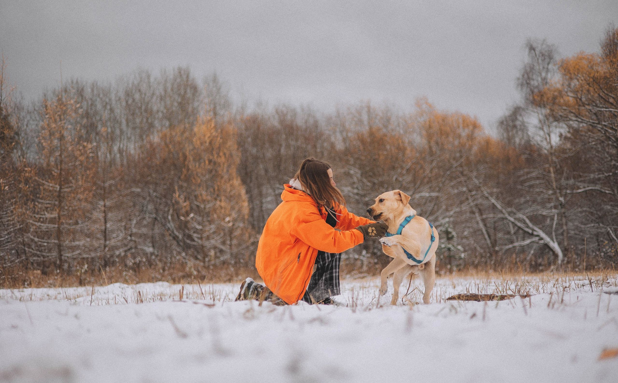 Маргарита и Варди. Фотограф-анималист Богданова Полина