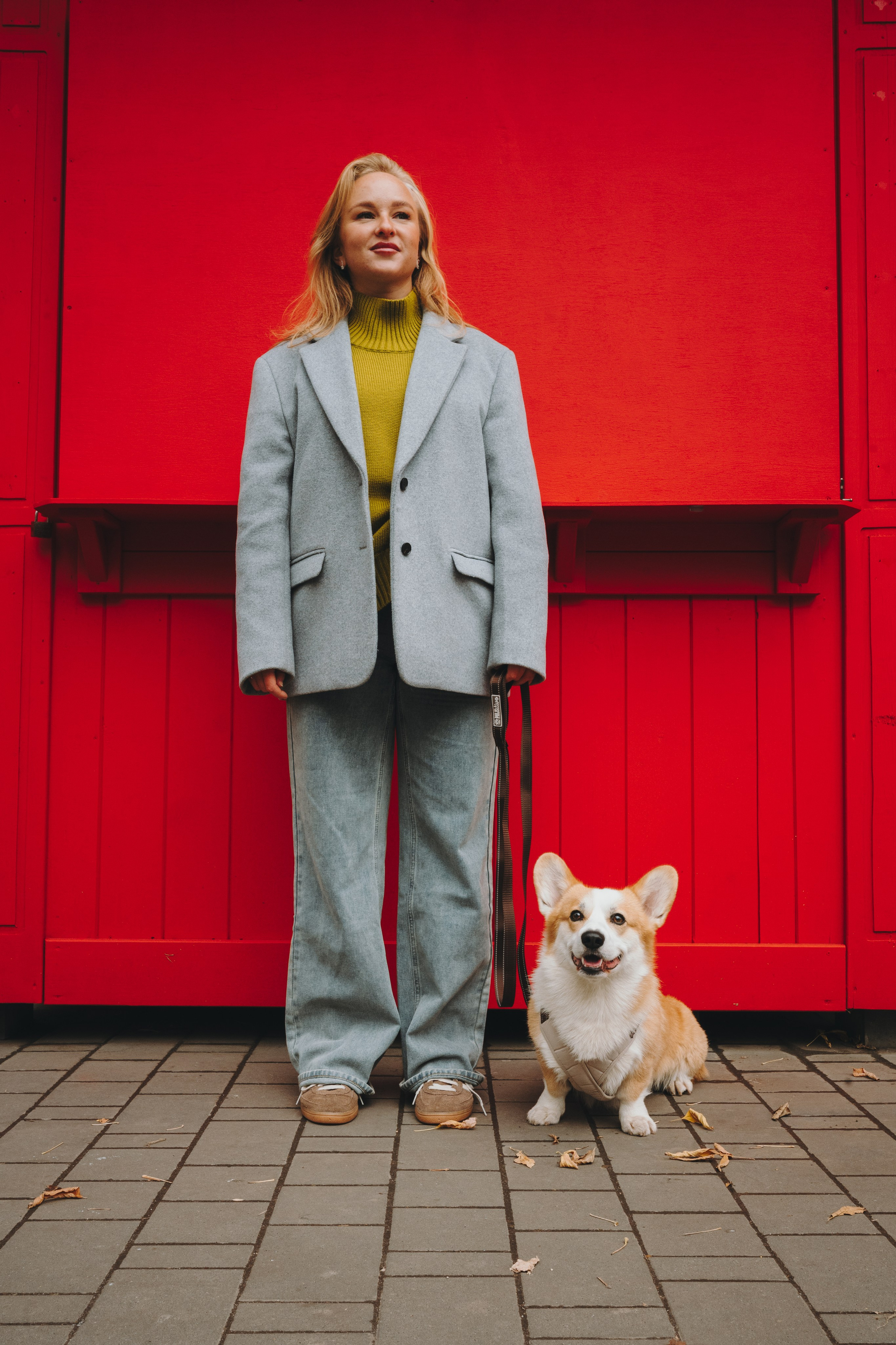 Pawsitive. Семейный фотограф анималист Ананьева Мария — Москва