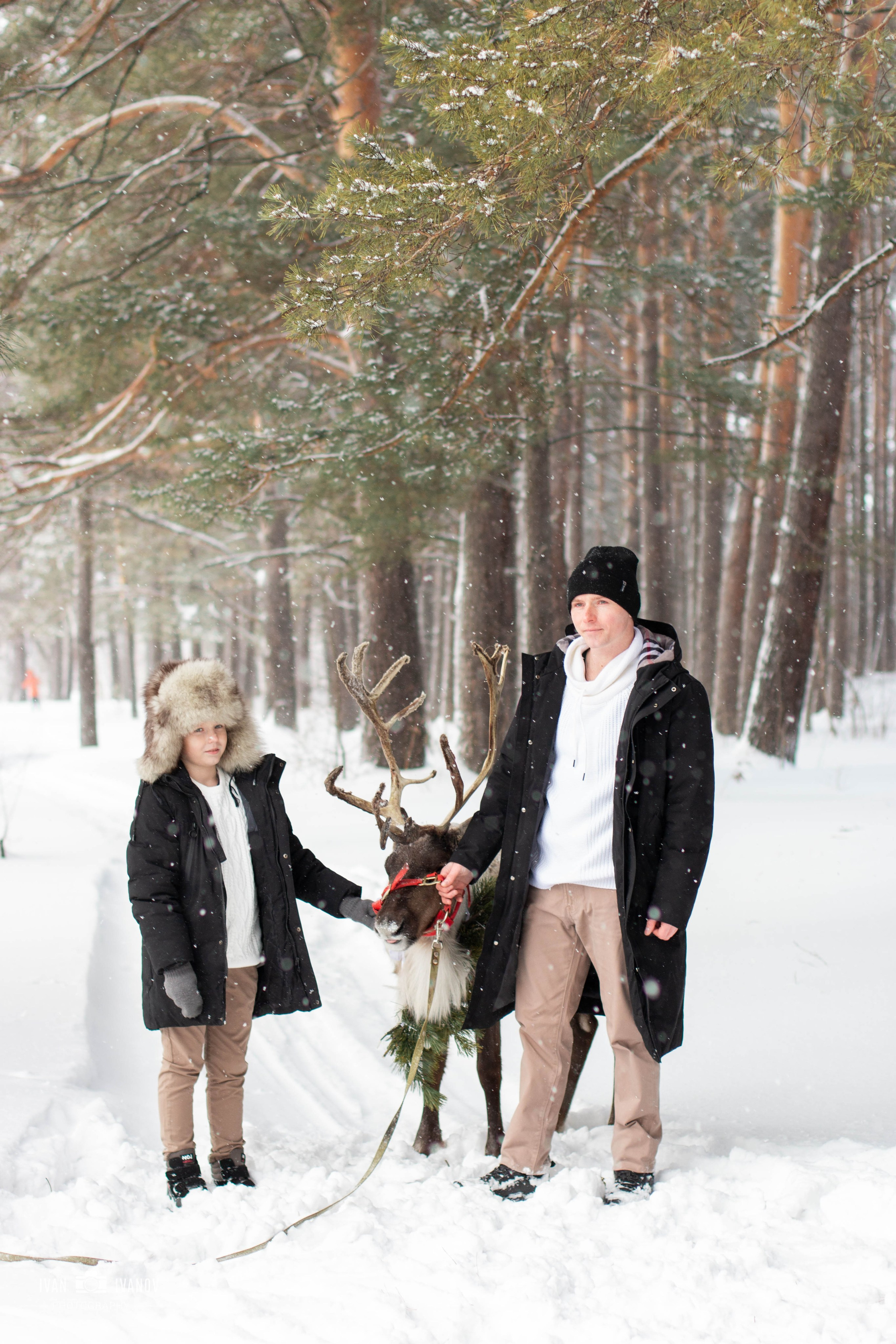 Воркшоп с северным оленем. Свадебный и семейный фотограф в Новокузнецке Иван Иванов
